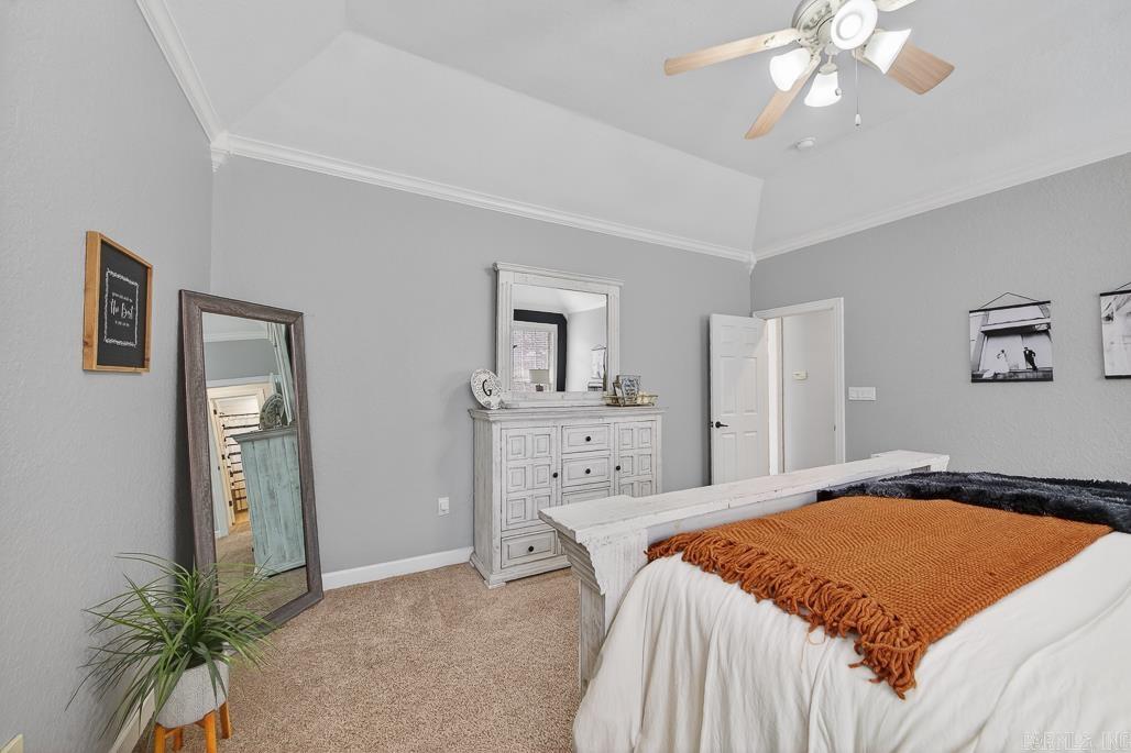 THE PARK ON MT SPRINGS - Residential