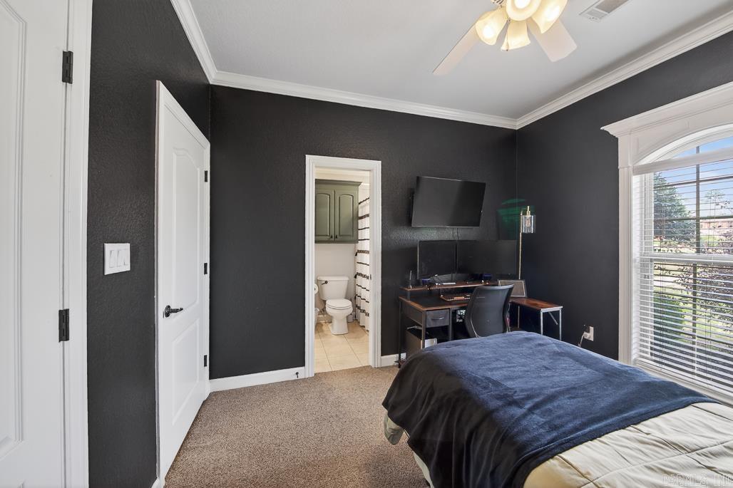 THE PARK ON MT SPRINGS - Residential