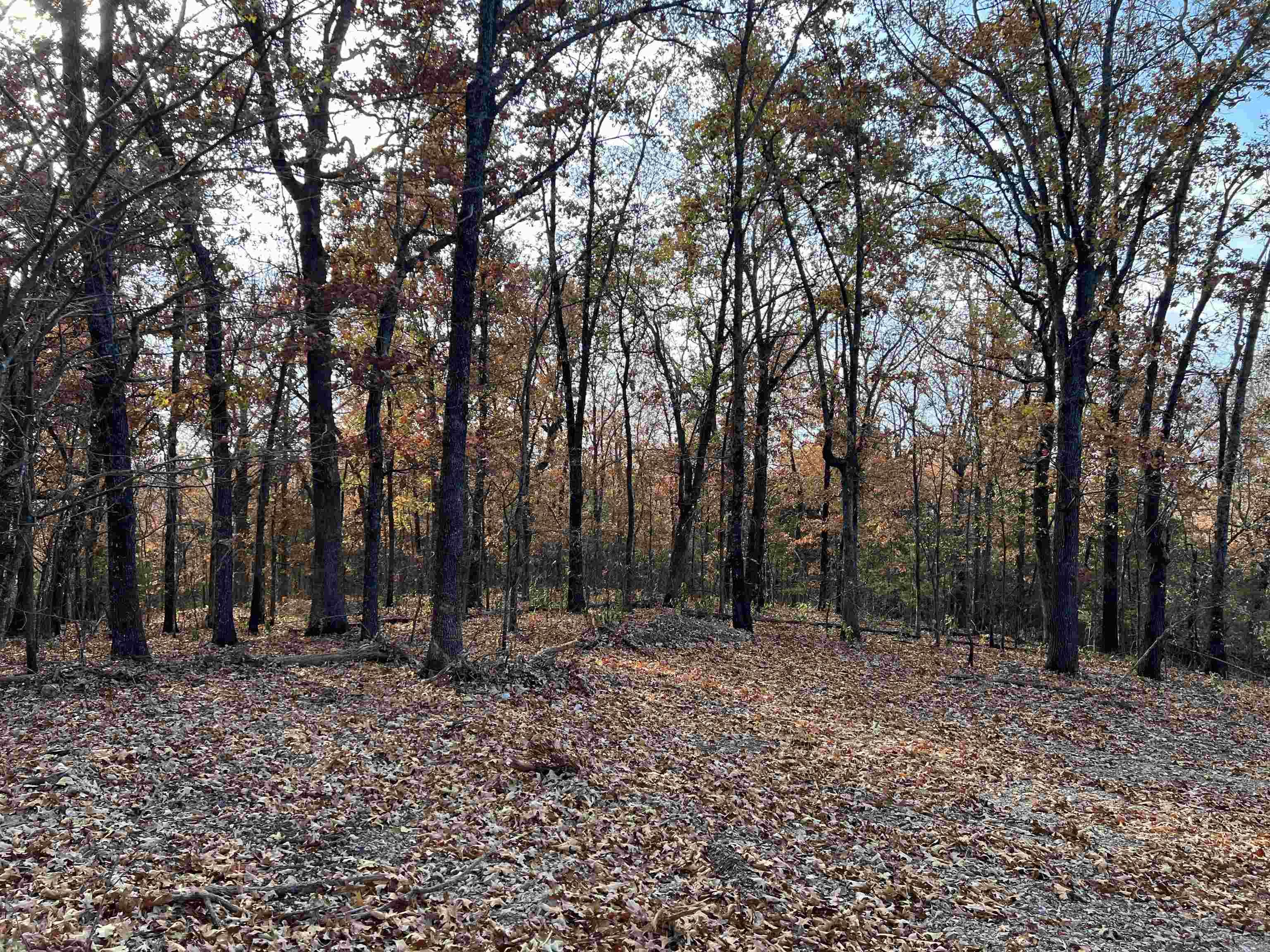 Metes & Bounds - Land