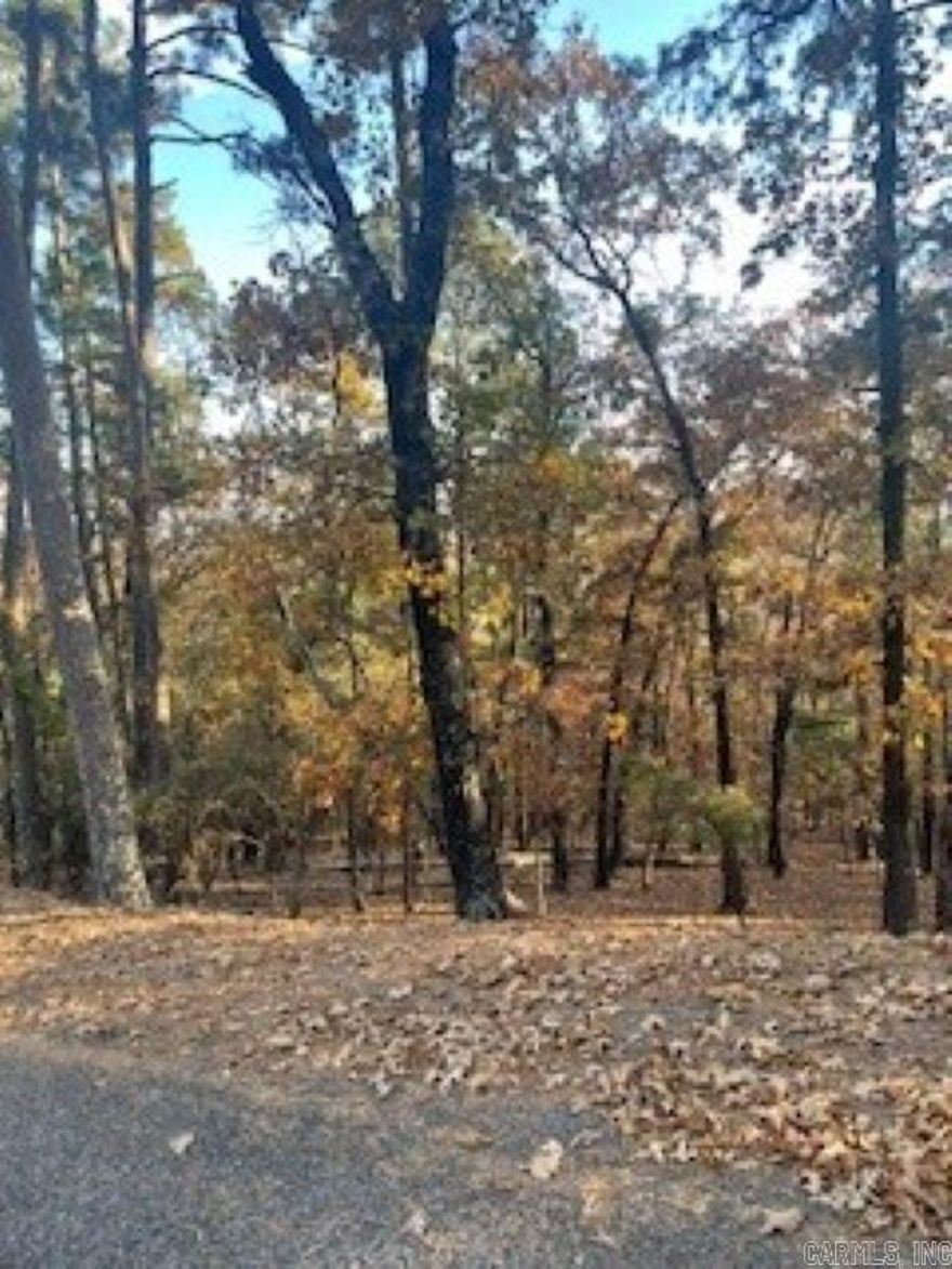 This 8.25-acre tract is a substantial, private, wooded parcel of land with wildlife consisting of Deer, Squirrel etc. Also has had a perc test on the property. Great place to build and have privacy.