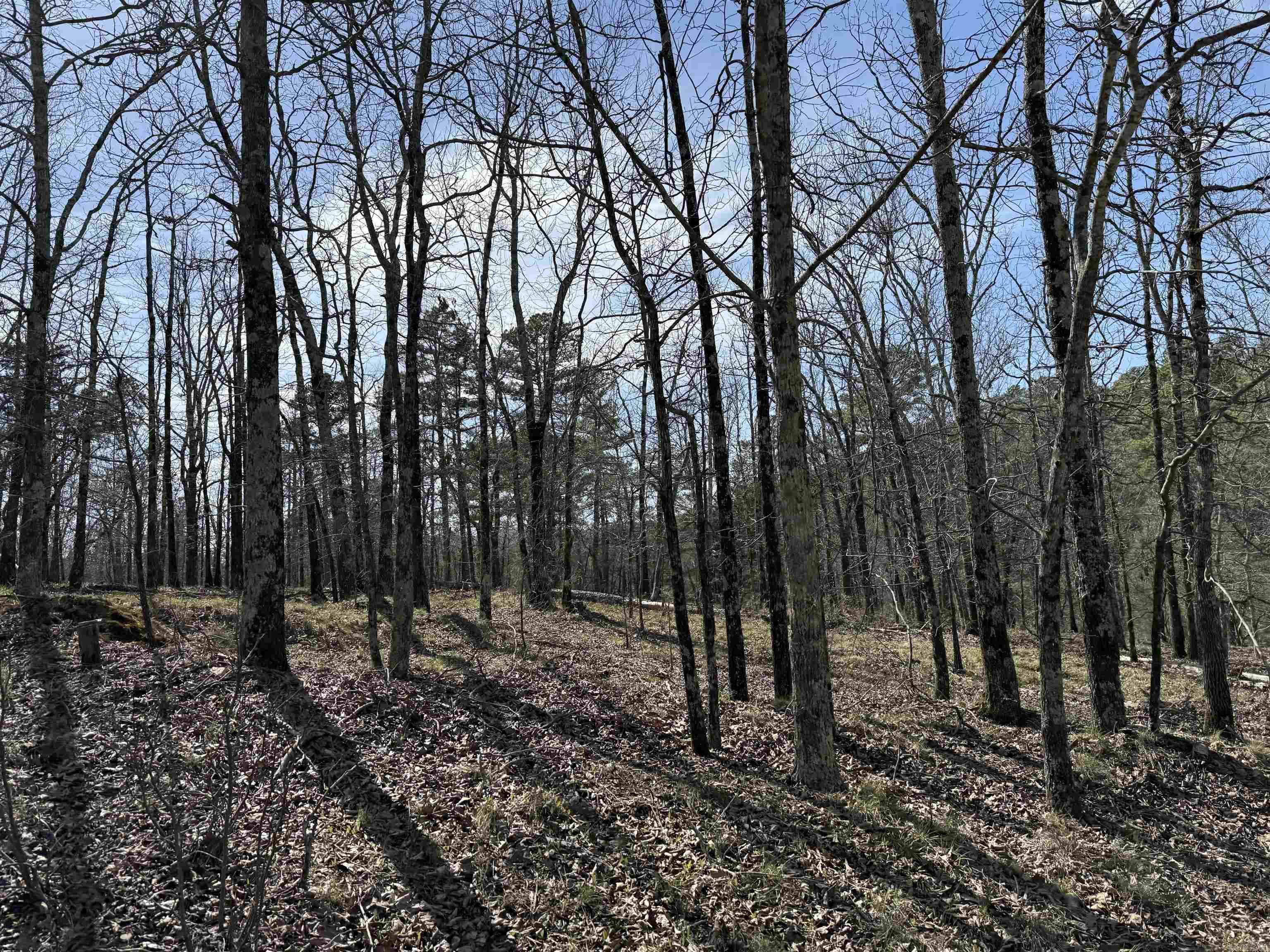 Immerse yourself in nature with this tranquil, 4.57 acre lot, perfect for outdoor enthusiast. Surrounded by abundant wildlife with natural spring water coming out of the rocks. This paradise is perfect for your dream home, hobby farm, cabins or just a private retreat. Will need power, well and septic. Please contact listing agent for showings.