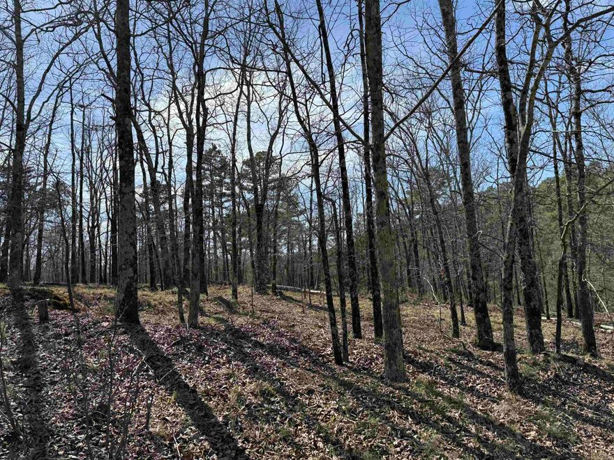Immerse yourself in nature with this tranquil, 4.57 acre lot, perfect for outdoor enthusiast. Surrounded by abundant wildlife with natural spring water coming out of the rocks. This paradise is perfect for your dream home, hobby farm, cabins or just a private retreat. Will need power, well and septic. Please contact listing agent for showings.
