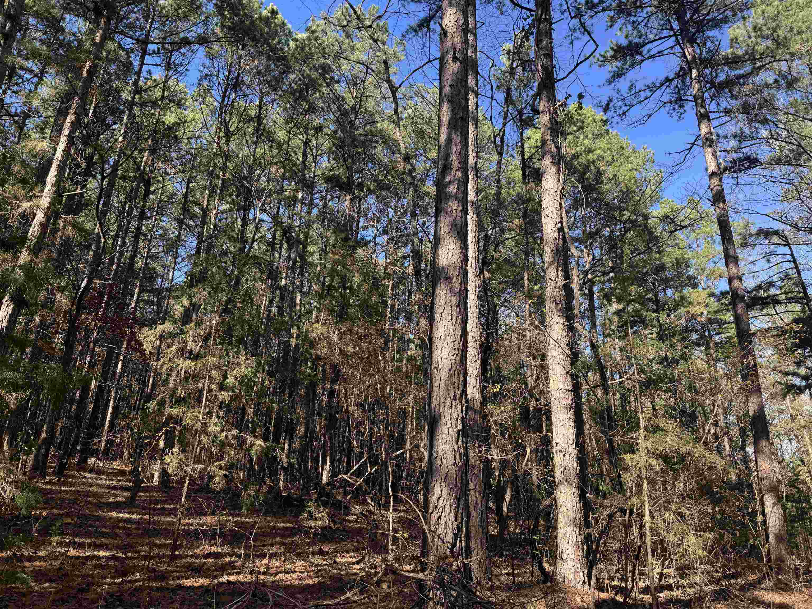 Metes & Bounds - Land