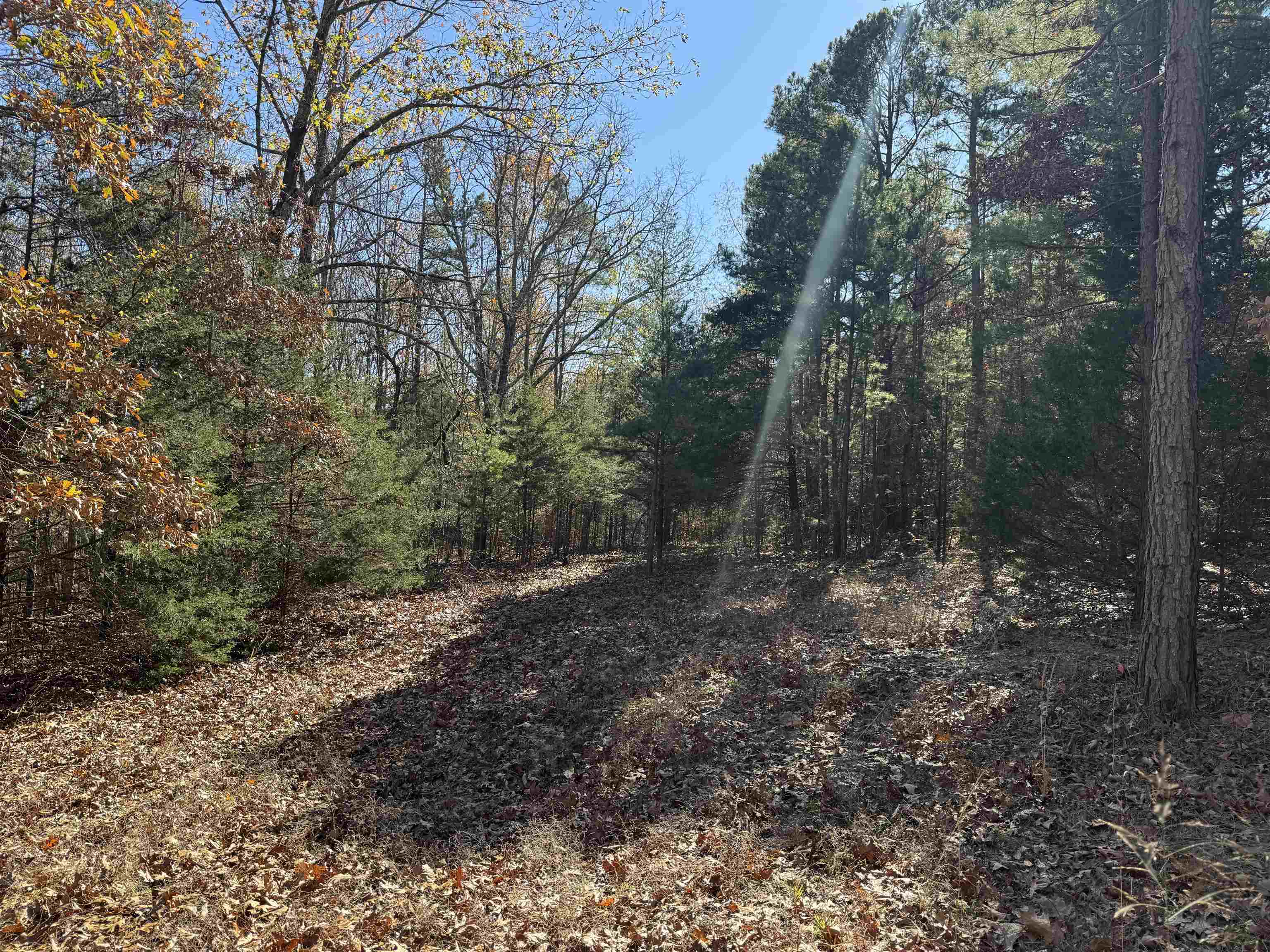 Metes & Bounds - Land