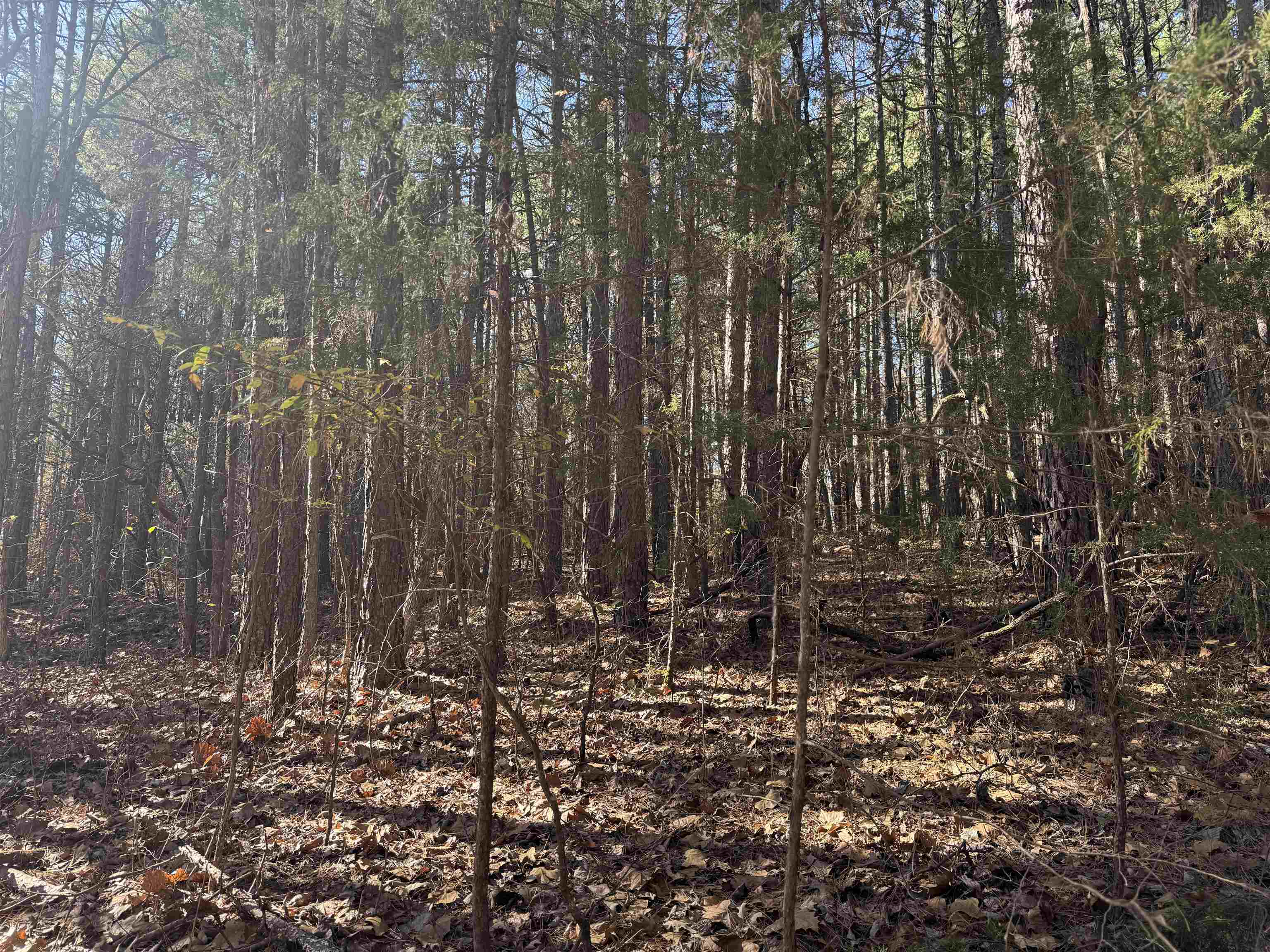 Metes & Bounds - Land