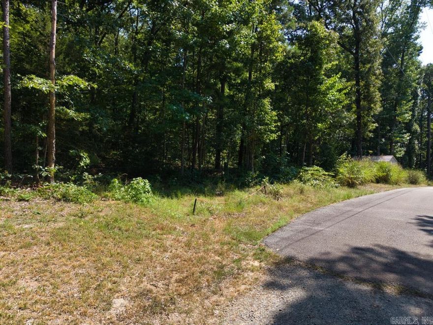 OWNER FINANCING AVAILABLE! 5.56 acres within city limits with a lot of growth opportunities, making it a smart investment for quick appreciation. Mobile homes allowed, city water hooked up (septic system required), and a level building spot closer to the road to make it ready for your dream home or rental setup. Proximity to iconic attractions like the majestic Buffalo National River for kayaking and hiking and the Ozark National Forest for endless outdoor pursuits. Just an hour from Little Rock, ensuring steady demand and value growth in the area.