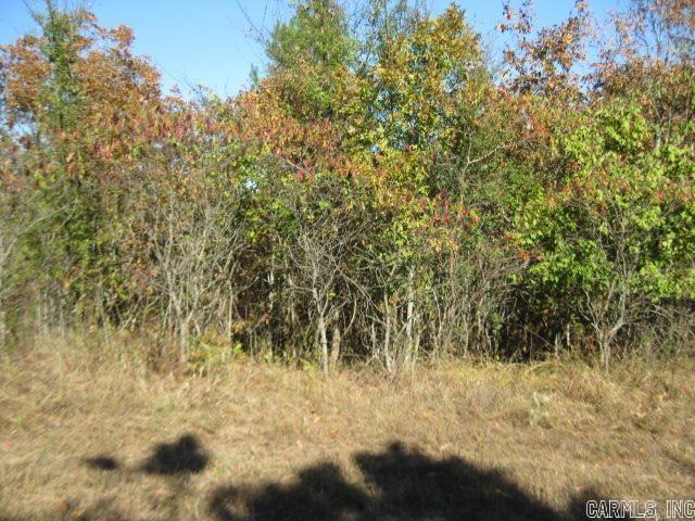 Lakeside Mountain - Land