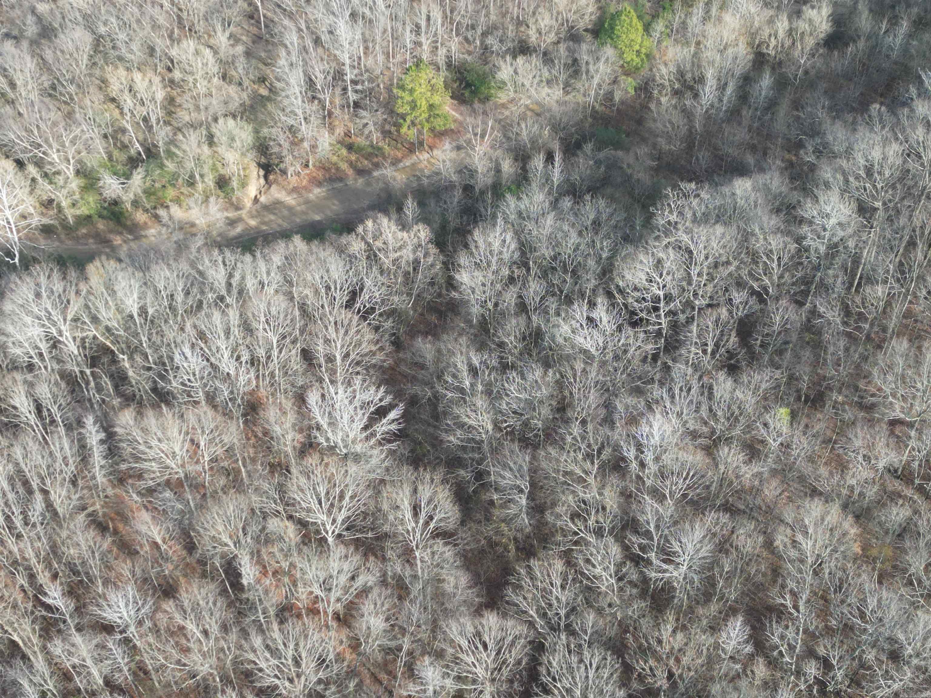 Lakeside Mountain - Land