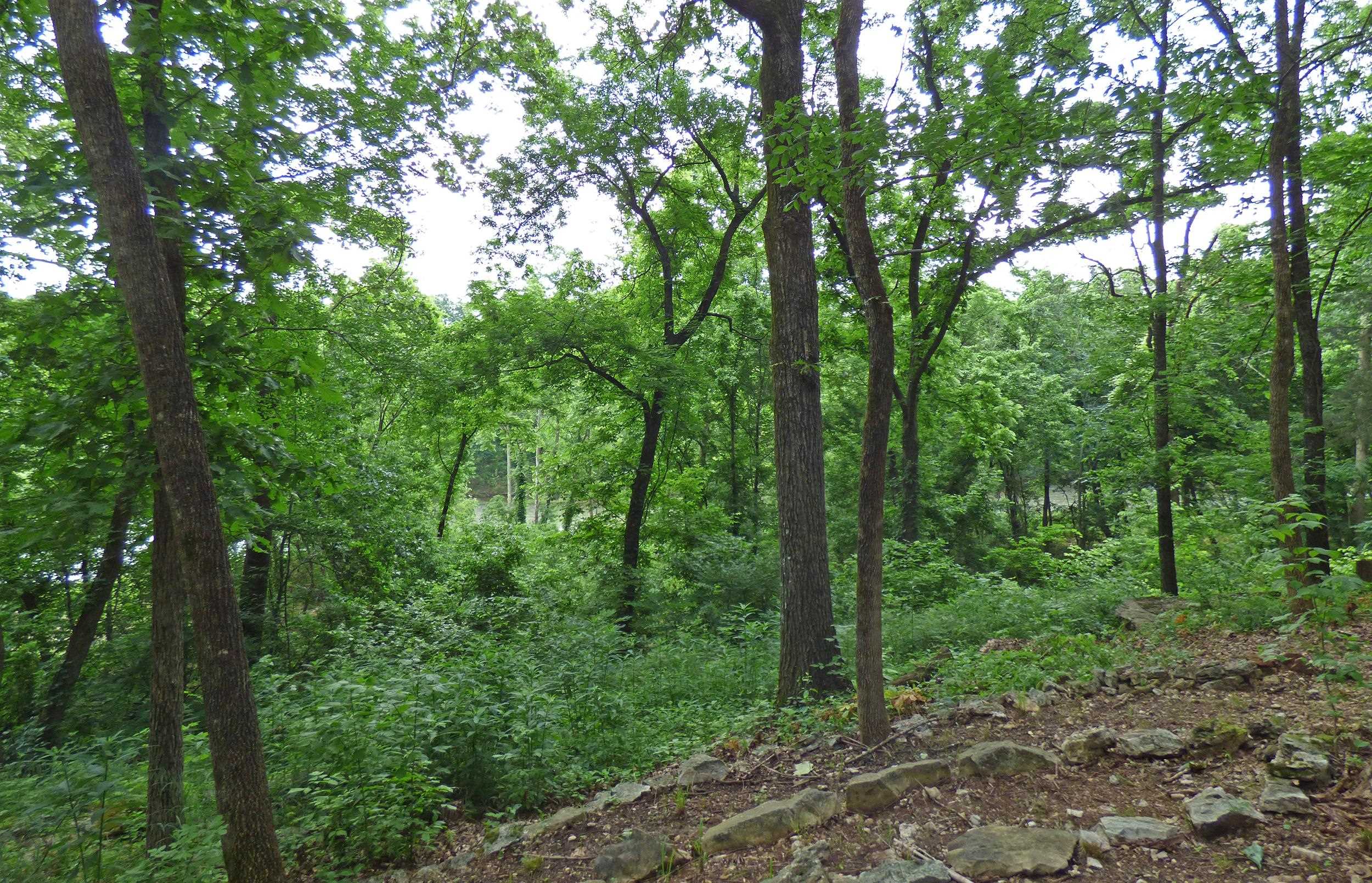 FAIRWAY - Residential
