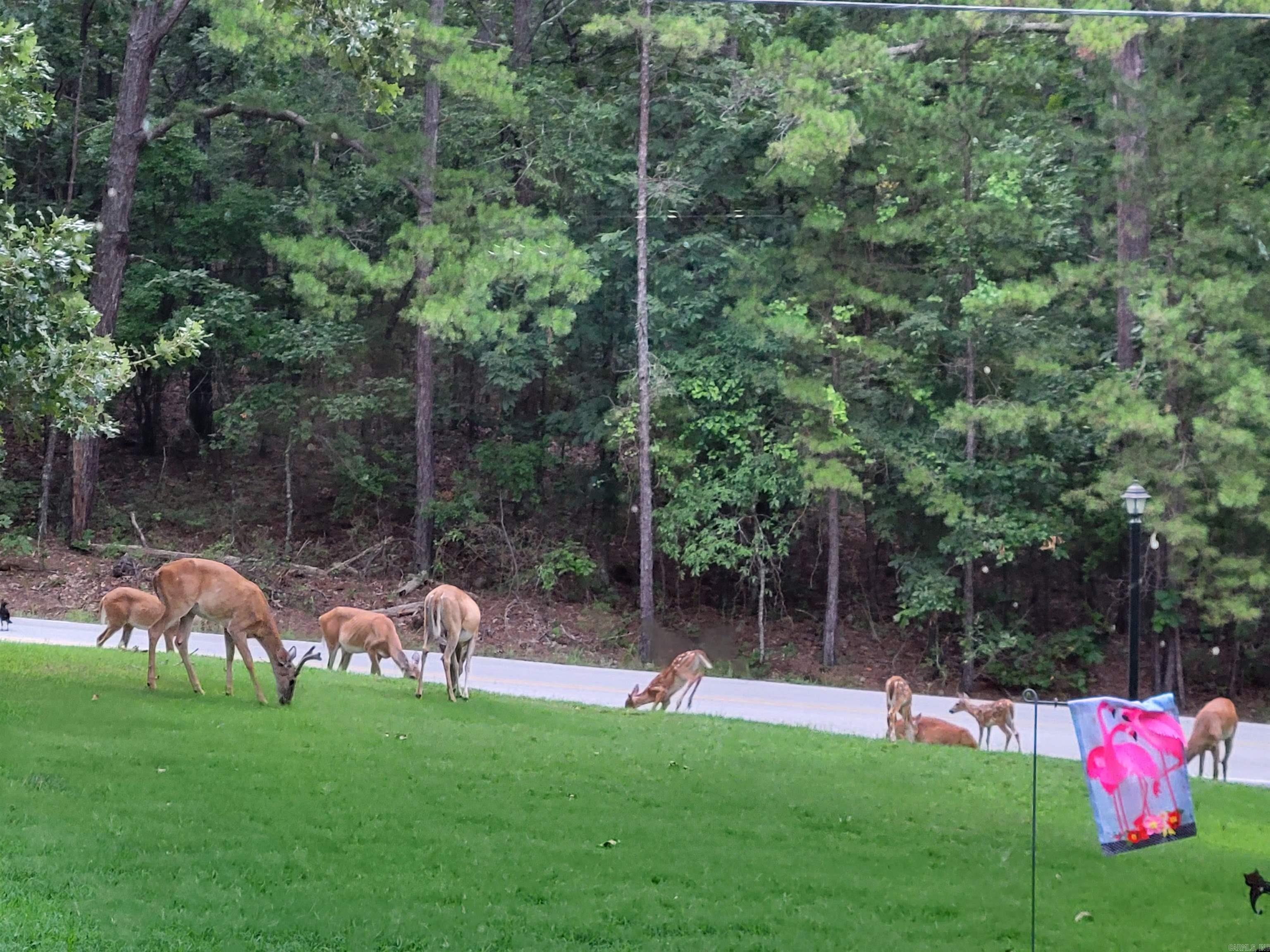 HAMILTON HILLS - Residential