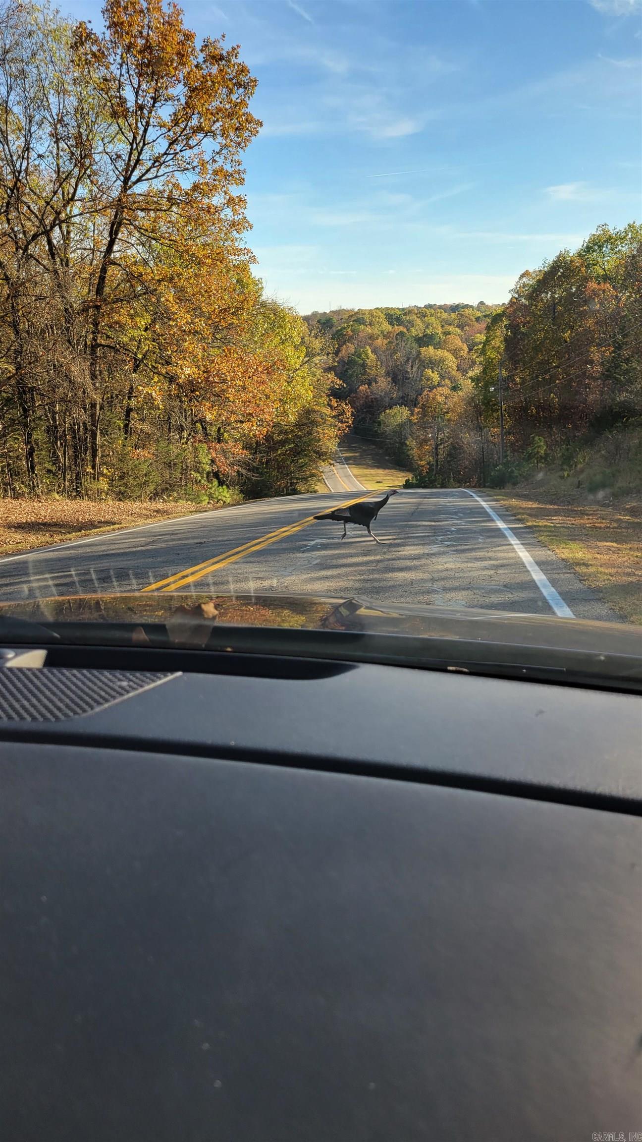 HAMILTON HILLS - Residential