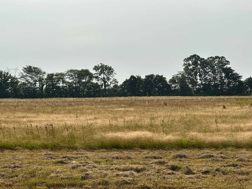 8 Acres Just Outside City Limits - Close to All Amenities! Looking for the perfect blend of privacy and convenience? This 8-acre parcel offers the peace and space of rural living while being just minutes from city amenities like shopping, schools, dining, and healthcare. Located just outside city limits, ideal for a homestead or small farm. Easy access to major roads and utilities nearby. This can go up to 15 acres