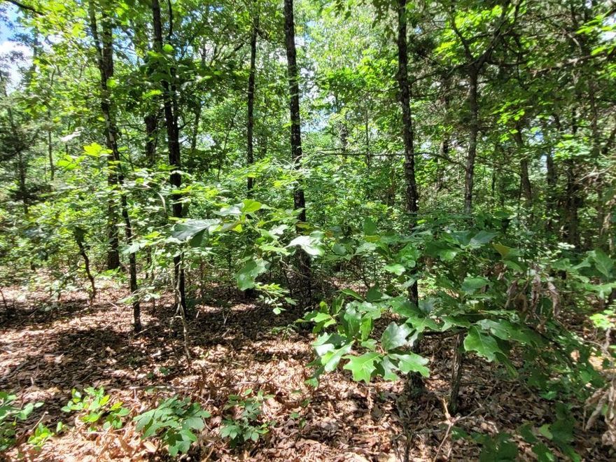 OZARKS WOODED ACREAGE FOR SALE POUGHKEEPSIE, ARKANSAS 50 acres m/l all wooded land located in Sharp County Arkansas. This acreage has a wet weather creek running through the property. Perfect land for hunting and recreational use. There is gravel road frontage. Great location-just a short drive to Batesville for shopping, restaurants, and other amenities. Don't miss out on your chance to own your piece of land in the beautiful Ozarks!