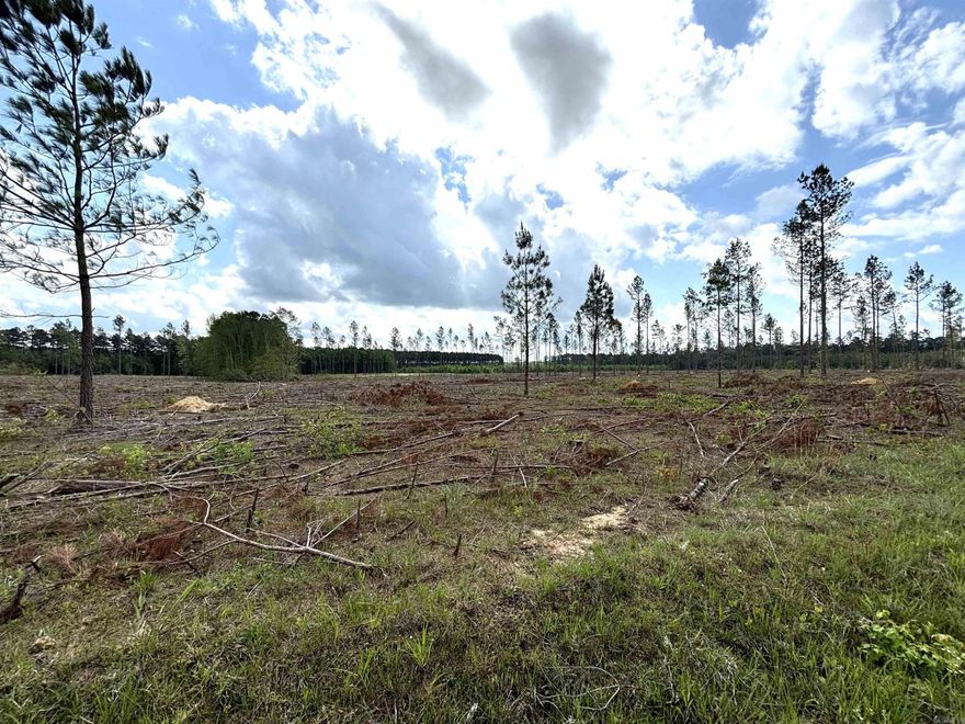 Level land on paved road*nice houses all around*just minutes from Little Rock, Benton, Fordyce or Pine Bluff*Sheridan Schools