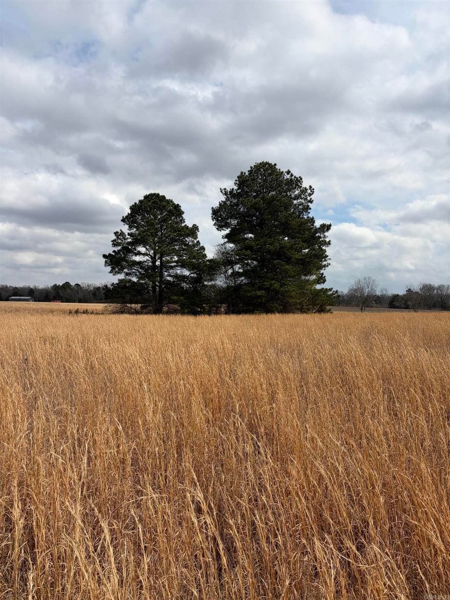 Great 12.44-acre level lot that would perfect for a subdivision or just a house or 2. The land is most likely open with a few large trees on the font and heavily wooded in the back.