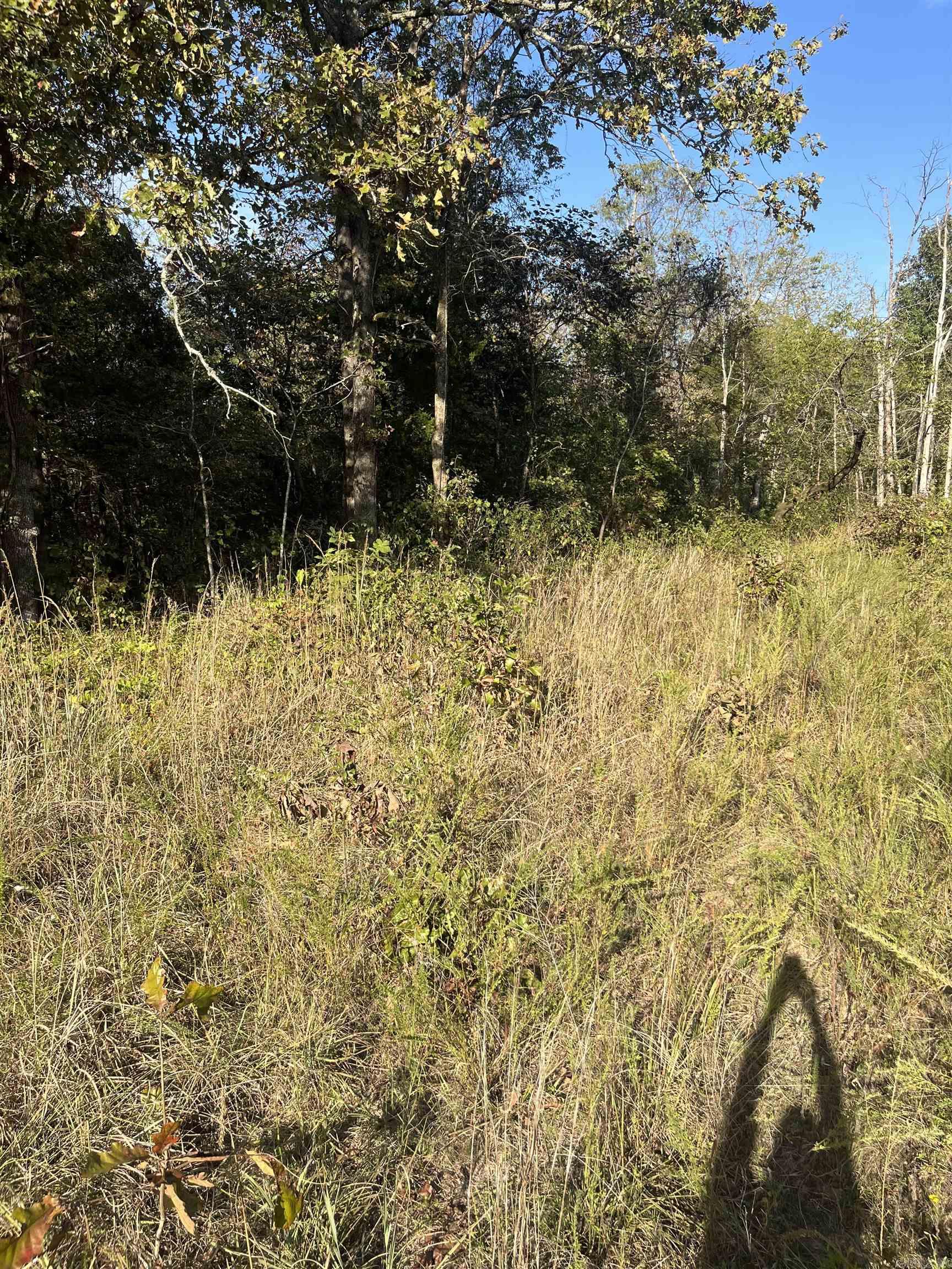 Build your home or getaway retreat on this little piece of land. Rural water and electric are available at the property. Property has a small wet weather creek running thru it. County road on 2 sides of the property.