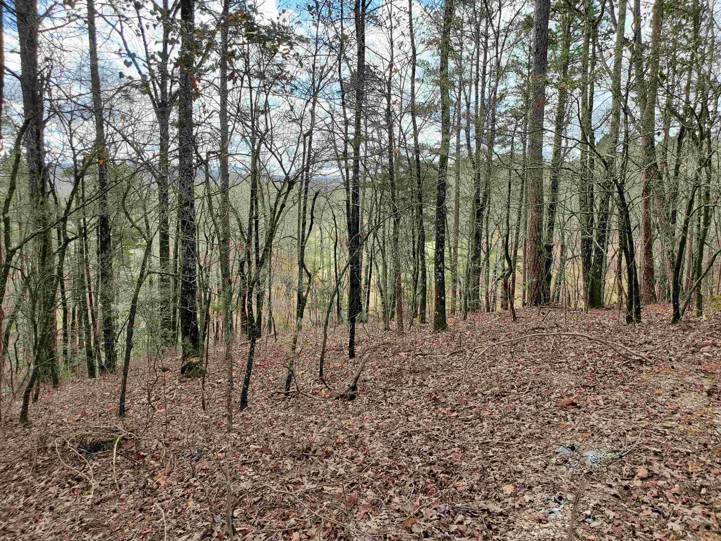 Metes & Bounds - Land