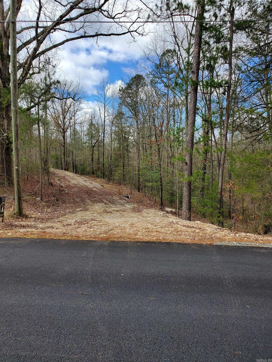 Check out this almost 4 acre property with a gorgeous view!   This property already has a cleared home site, a driveway, and a current perk test!