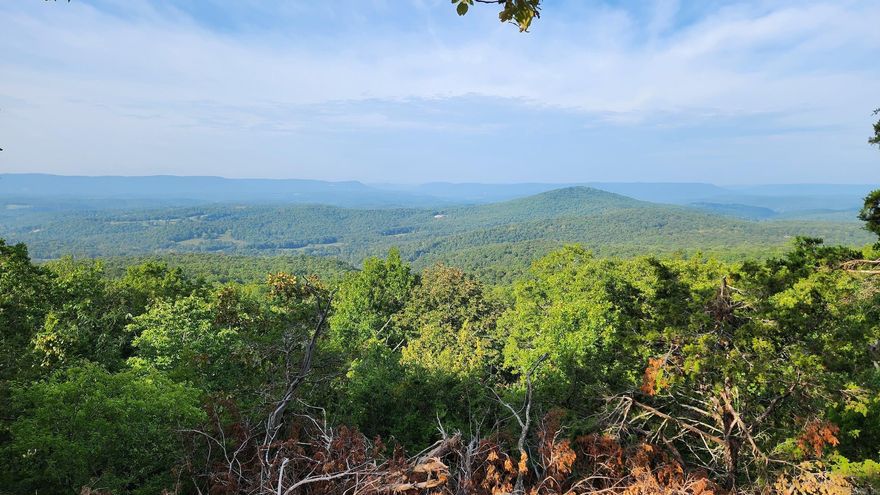 Located in the heart of the magnificent Ozark mountains sits a stunning tract of phenomenal hardwood timber loaded with wildlife and boasts sensational vista views. This unique property is ideal for those who truly love the outdoors and embody the essence of the rugged character this region has to offer; whether you are looking to get away from it all, hunt some trophy game, build that dream home or cabin, or hike, explore or camp… this one is for you. Nestled along Pinnacle Mountain, this tract's breadth of landscape can boggle the mind. With drastic topography changes ranging from 2134 feet in elevation down to 1180 in one area, the raw beauty of nature is all around with rock faces, bluffs, massive boulders, small springs, and more. The vast amount of level, usable, and workable ground really begins to separate this one from the pack. Even with the dramatic elevation changes, you still get unreal amounts of quality hunting locations, building sites, and even areas to clear additional ground for food plots if desired. The changing landscape gives you even more areas to explore and get back to nature.