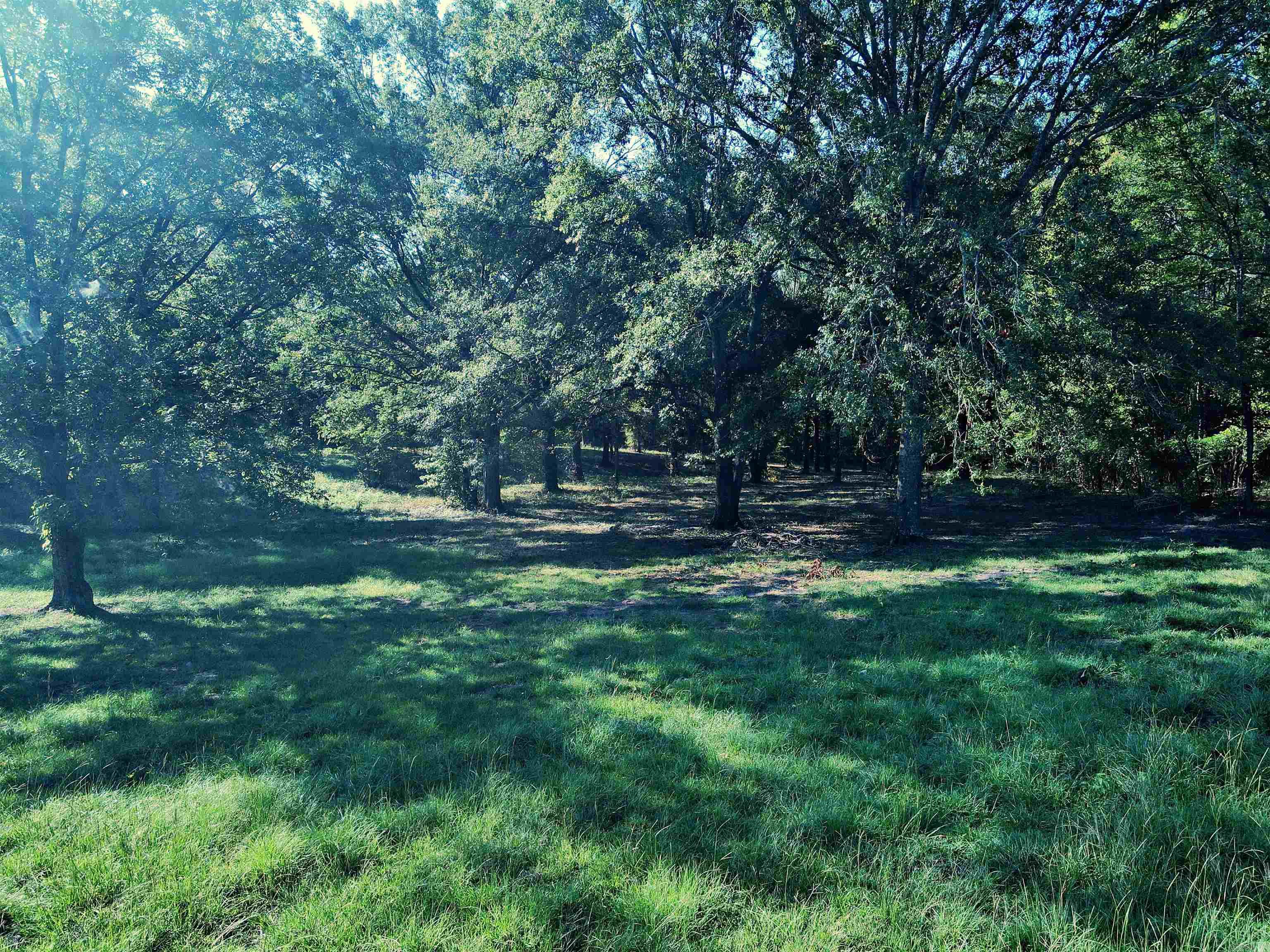 Lake Degray Estates - Land