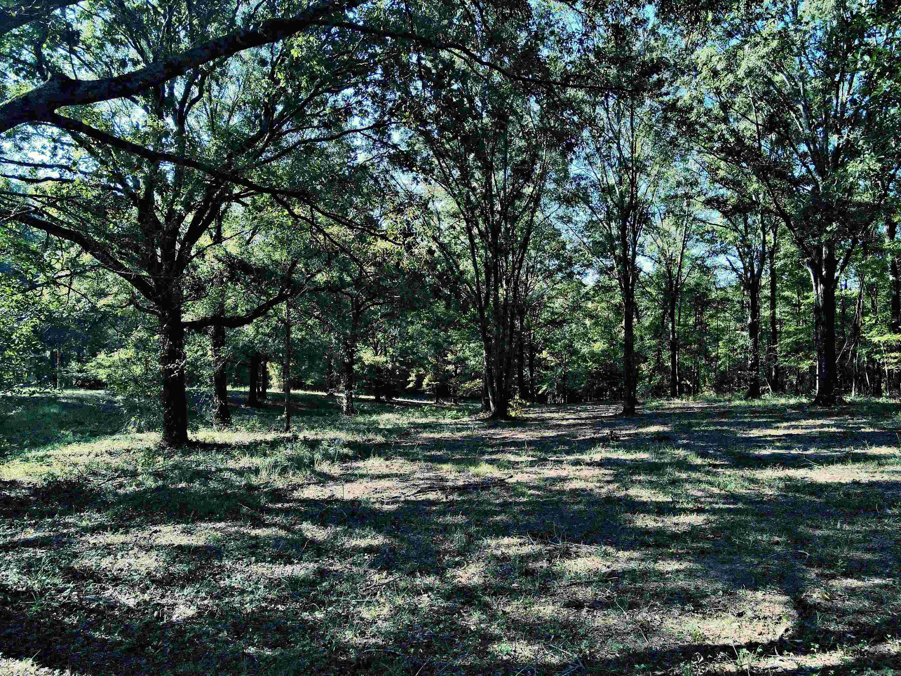 Lake Degray Estates - Land