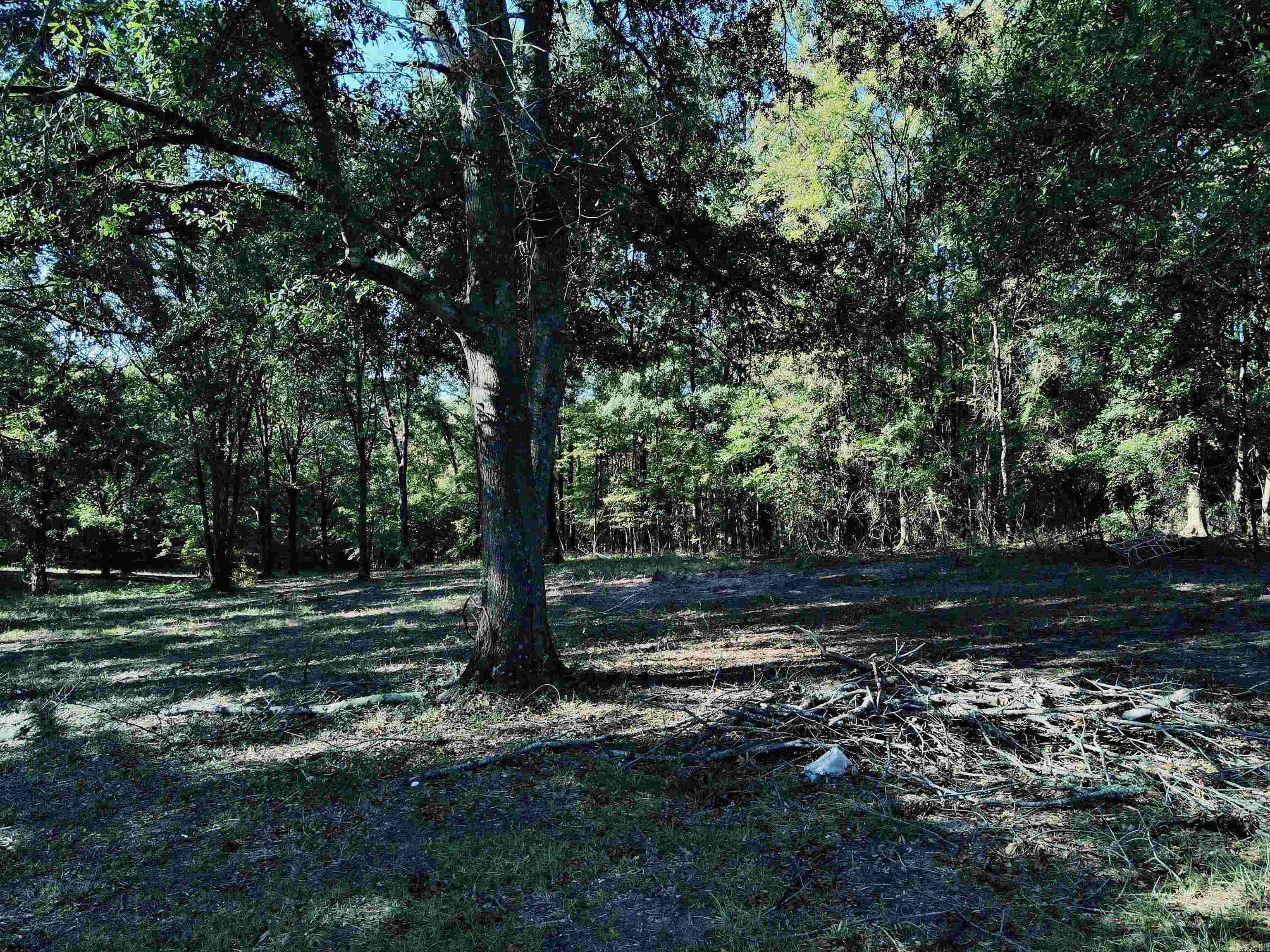 Lake Degray Estates - Land