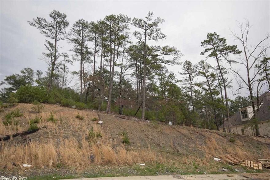 Wonderful new neighborhood with affordable lots.  Walking distance to neighborhood pool and park.  Located in the new Chenal Valley Elementary School District.  Call for all forms, plats, and building restrictions.