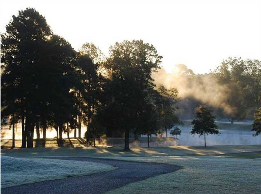 Arlington Park Lots Now Being Offered. Located Adjacent to the Hot Springs Country Club, This Subdivision Offers What No Other Does in Hot Springs. Golf, Tennis, Pool, Workout/Exercise and Fabulous Clubhouse Within Walking or a Short Golf Cart Ride. Country Club Membership is Included with Lot Purchase(subject to country club approval). Grand Setting with Mature Trees, Golf Course and Mountain Views. Gated and Located in the Heart of Hot Springs Near Schools, Hospitals and Shopping