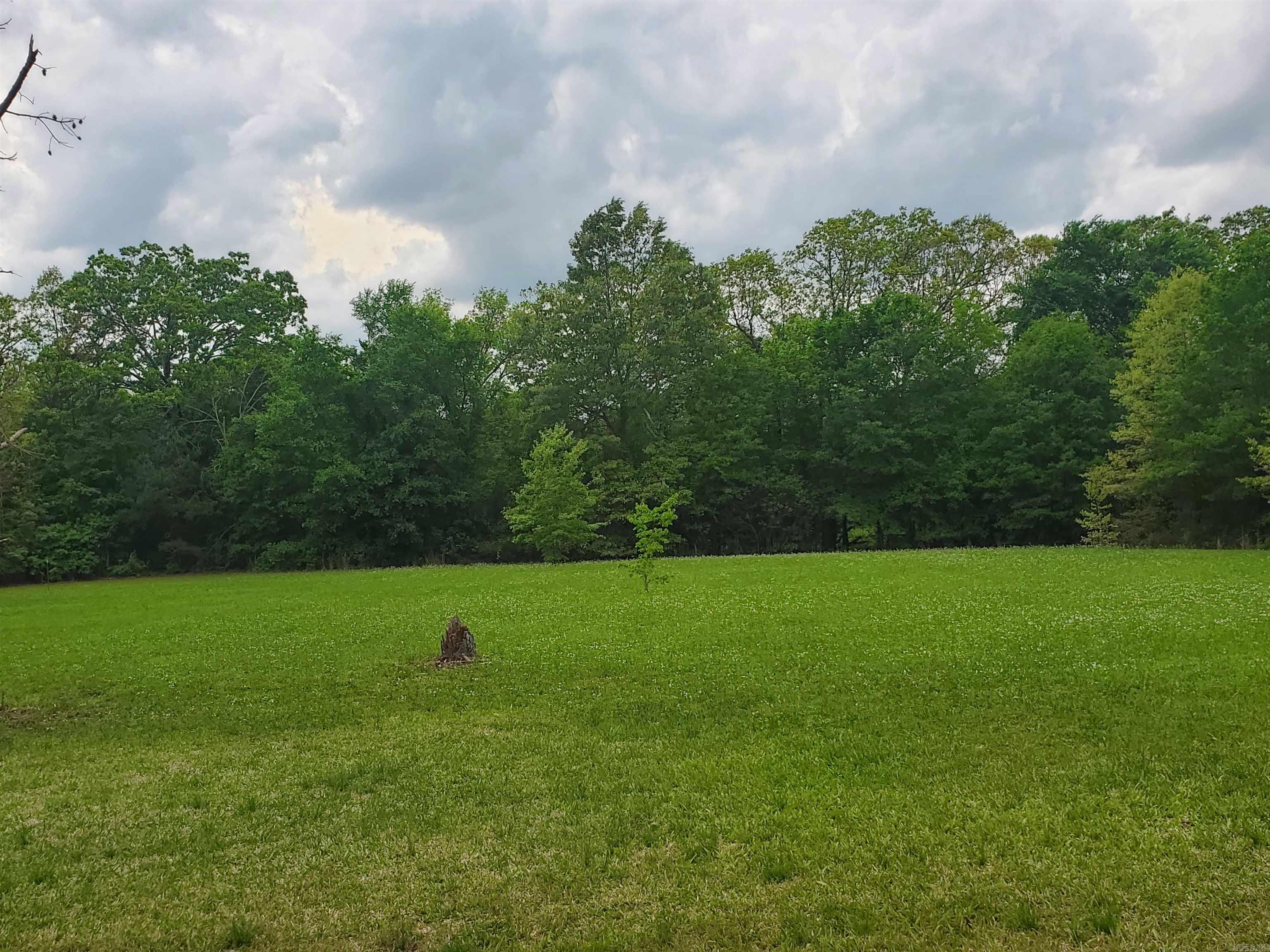 Lake Wilhelmina - Residential