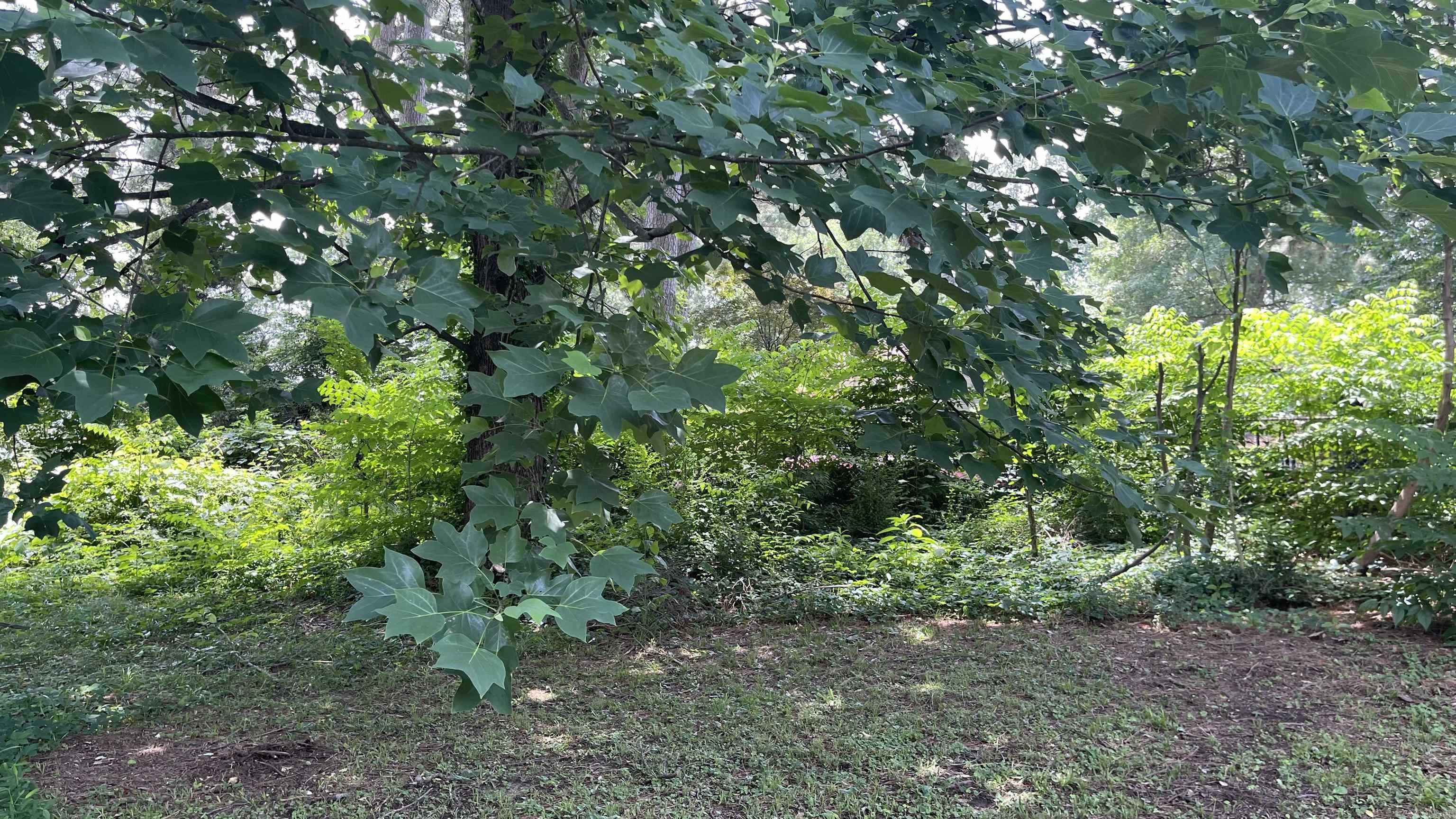 MISTY MEADOWS - Residential