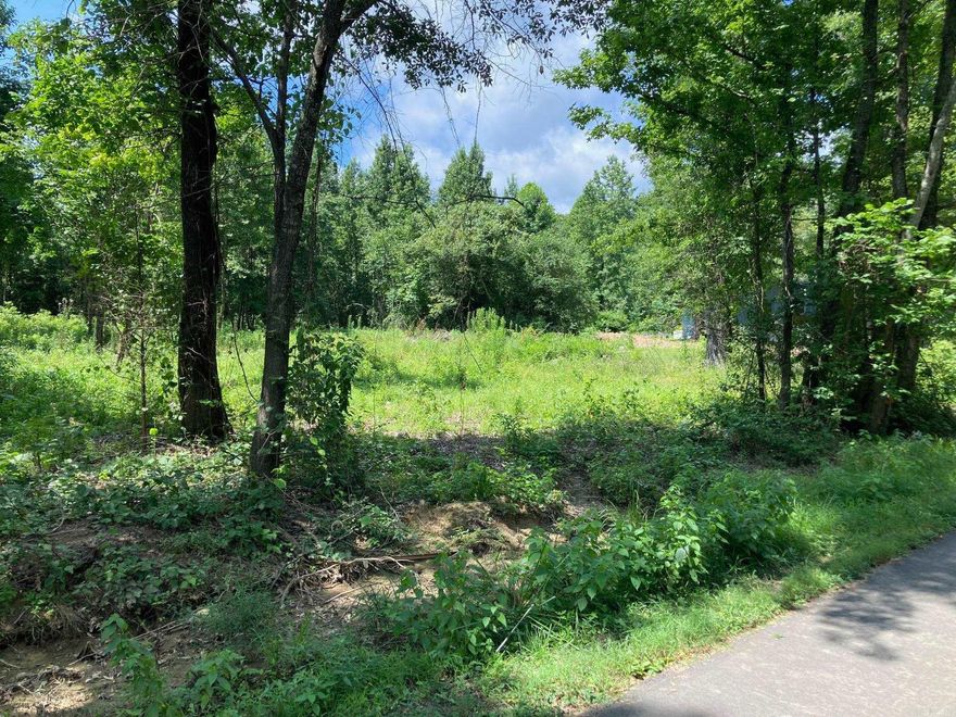 Tree shaded 1.99 acre tract of land in Vilonia School District that is perfect for a tiny house or RV. Has been cleared at the front for a building site and partially cleared throughout. Access to city water. Has had a perc test done and have septic permit in hand but would only perc for a one bedroom. Survey on file.