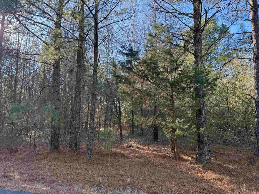 Beautiful acreage to build your dream home.