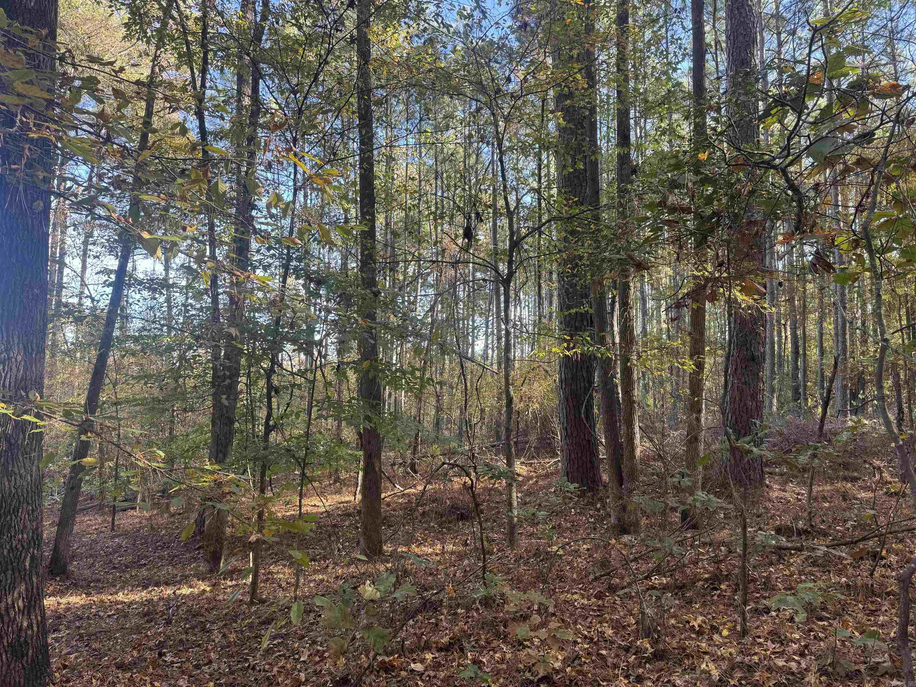 Not in Subdivision - Land