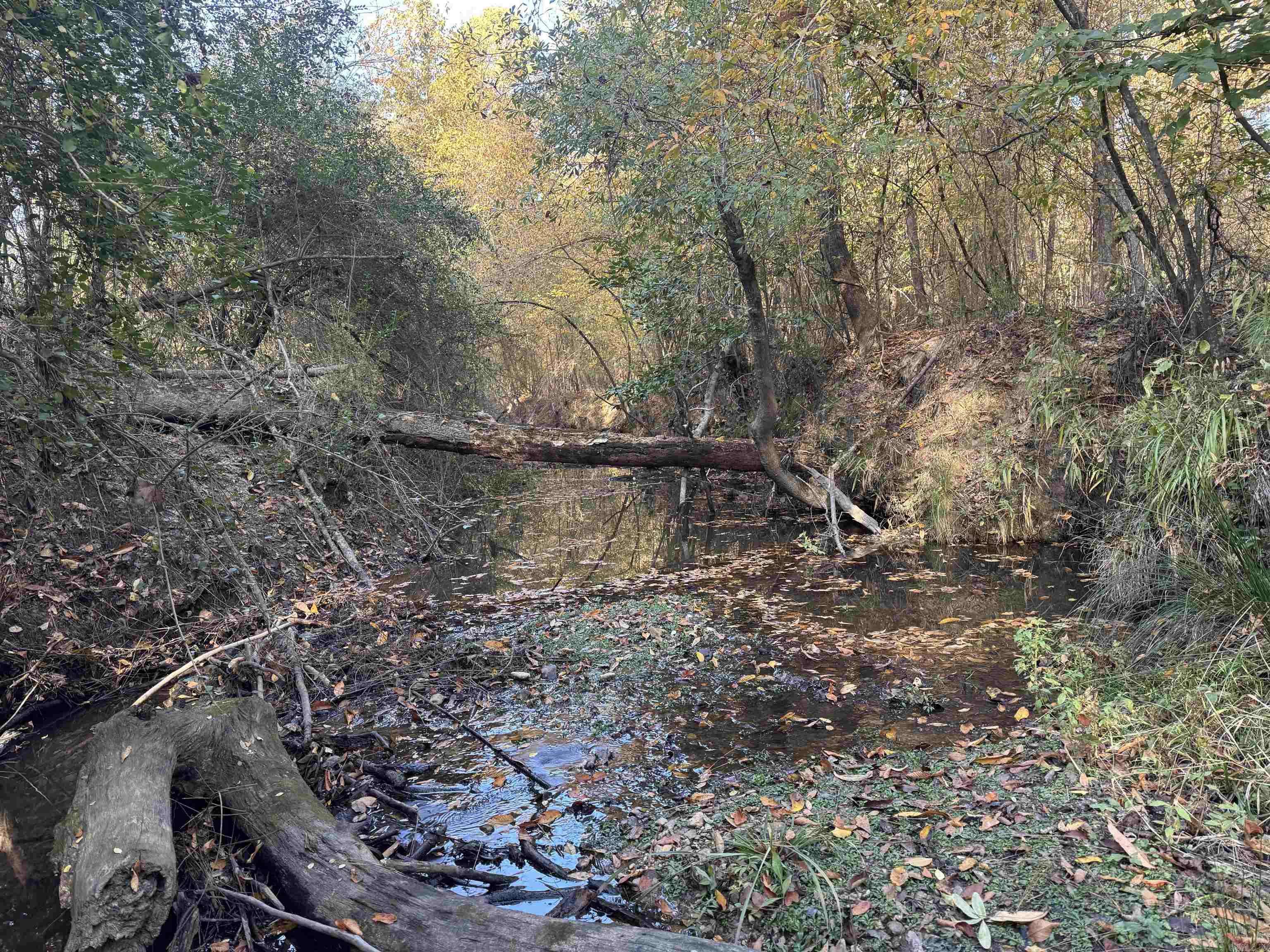 Not in Subdivision - Land