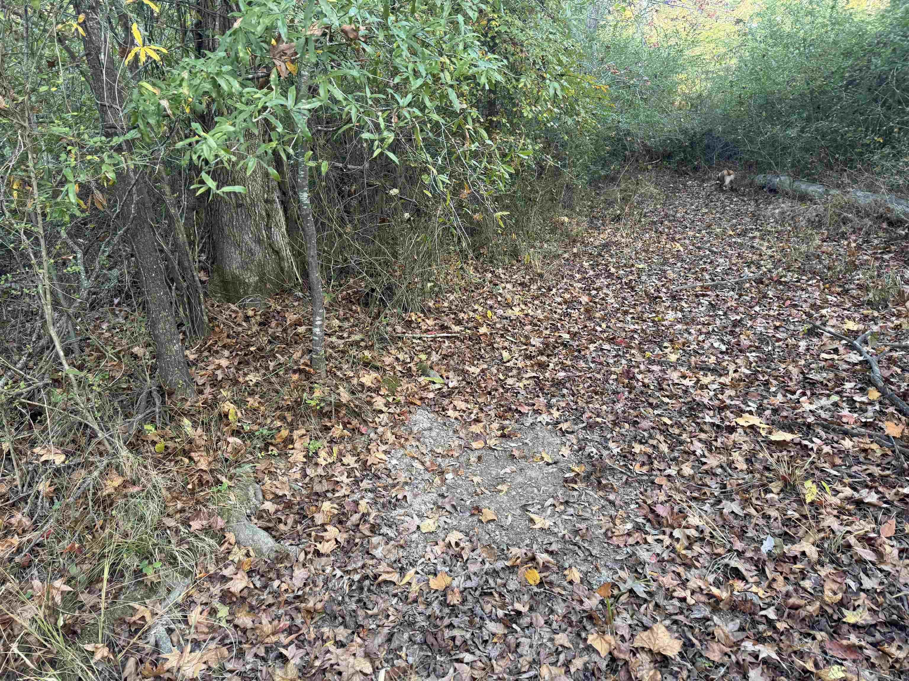 Not in Subdivision - Land