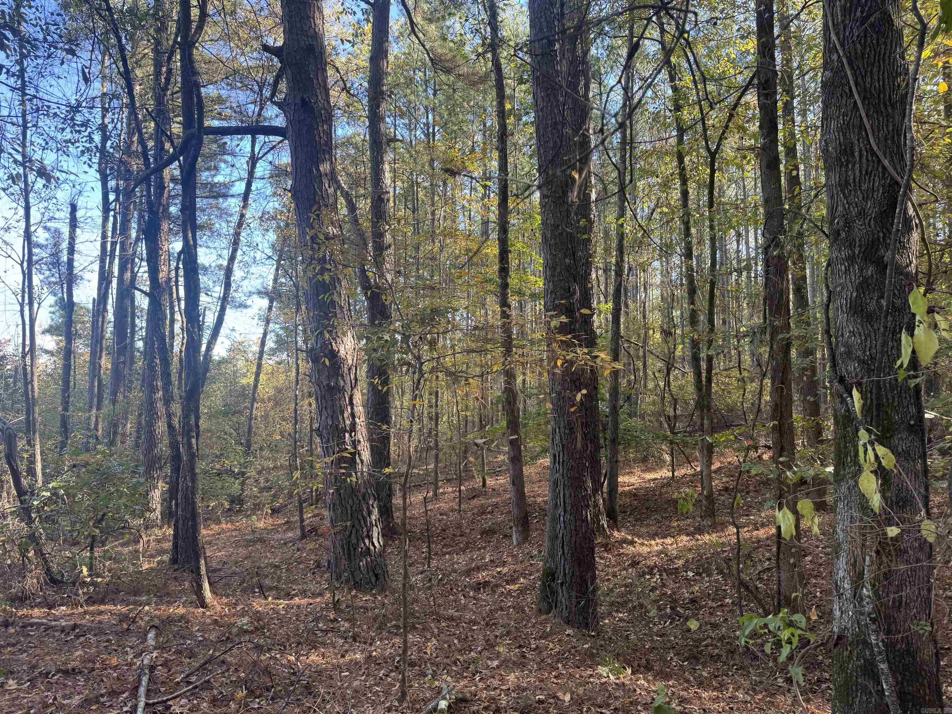 Not in Subdivision - Land