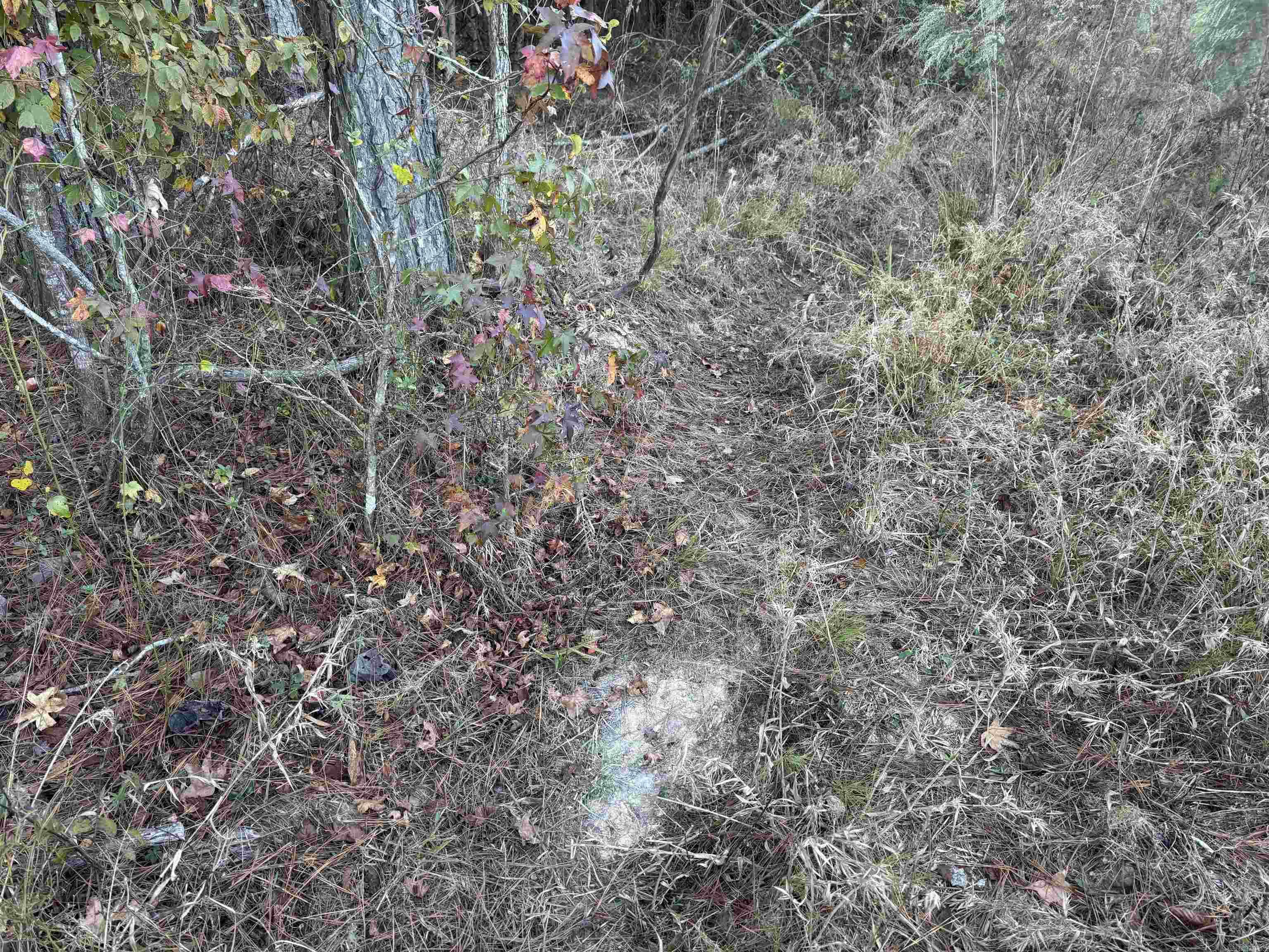 Not in Subdivision - Land