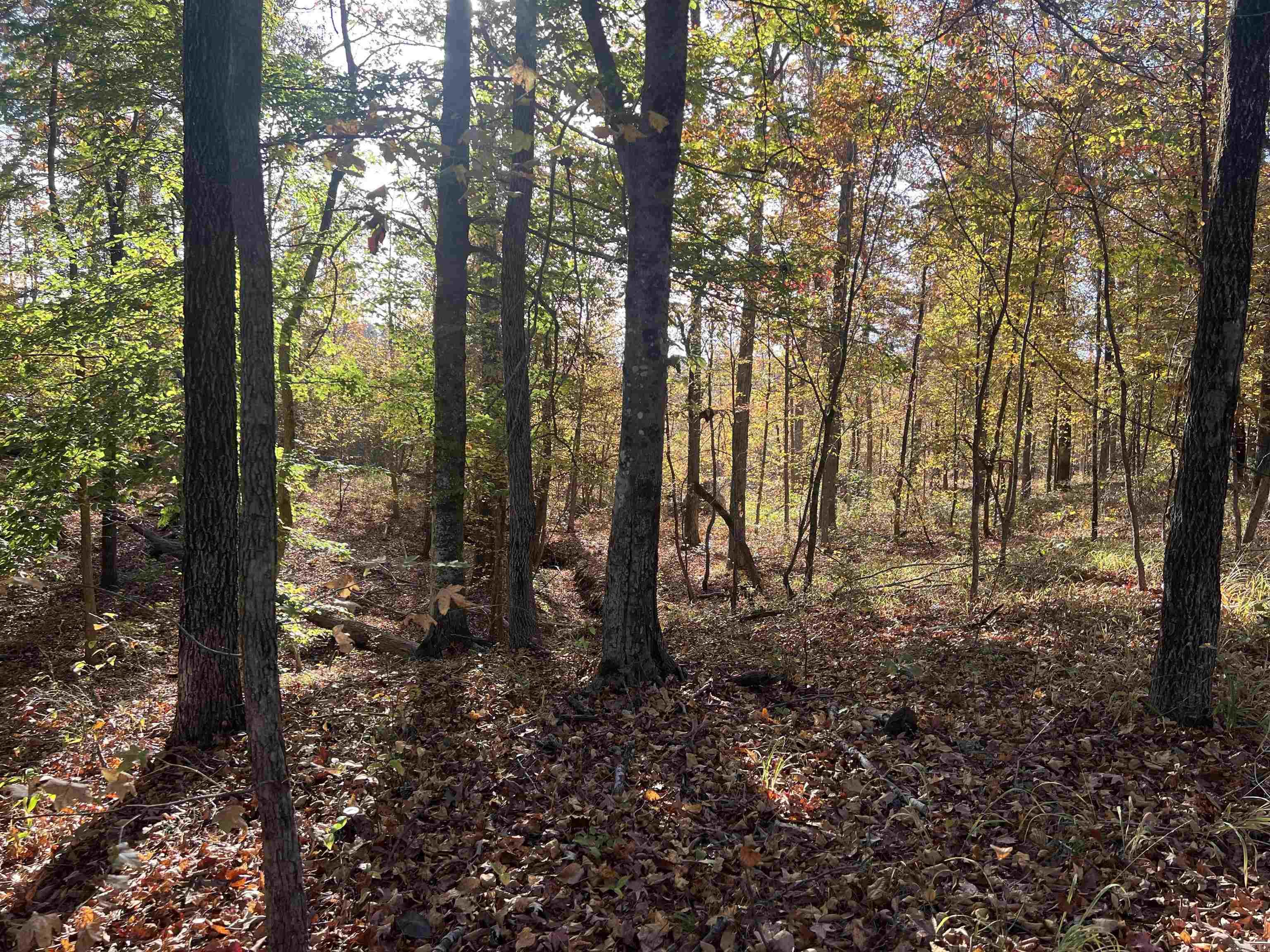 Not in Subdivision - Land