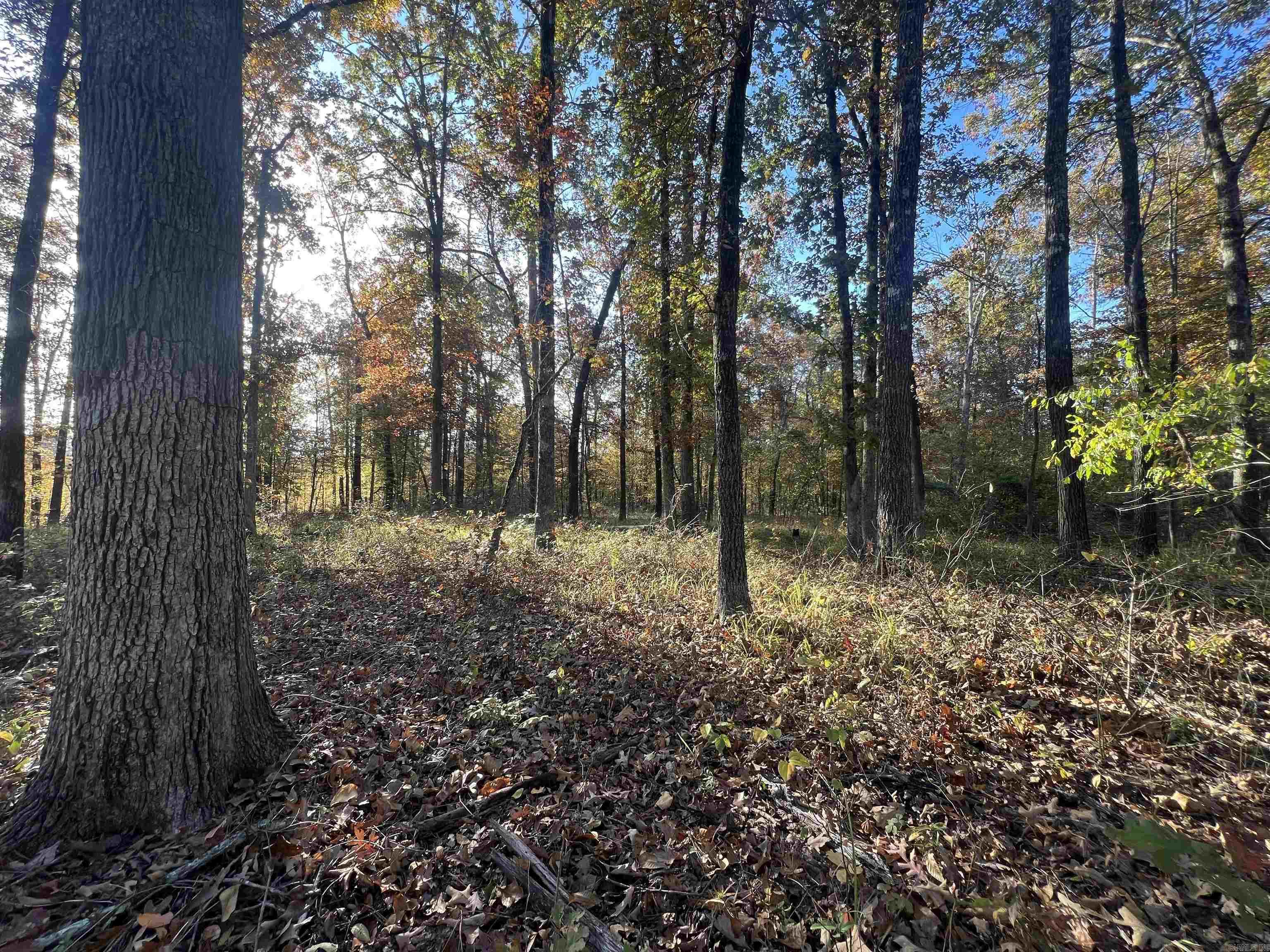 Not in Subdivision - Land