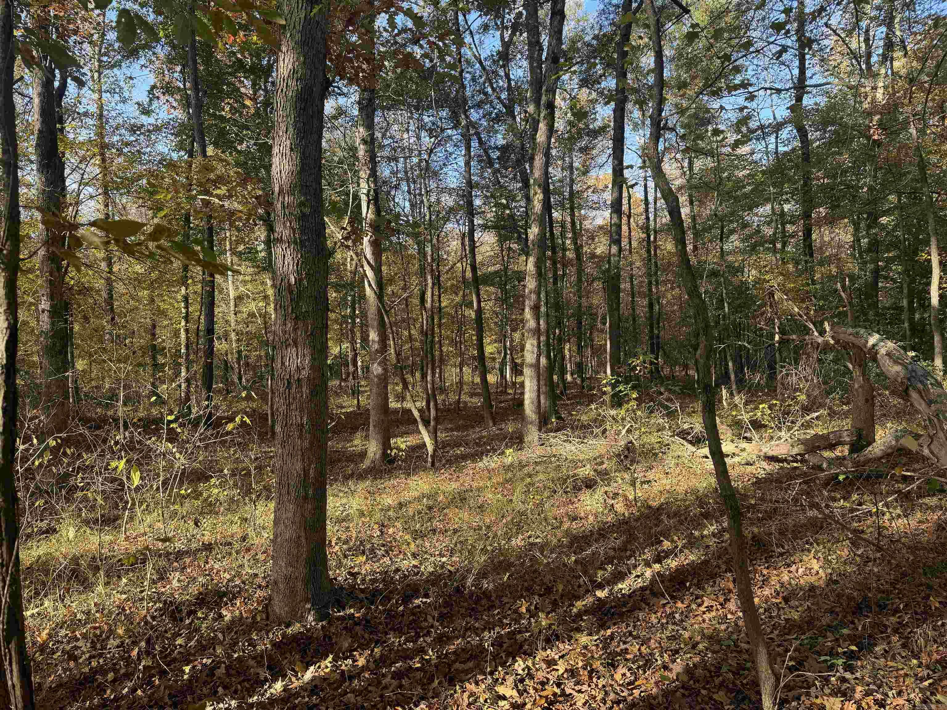 Not in Subdivision - Land