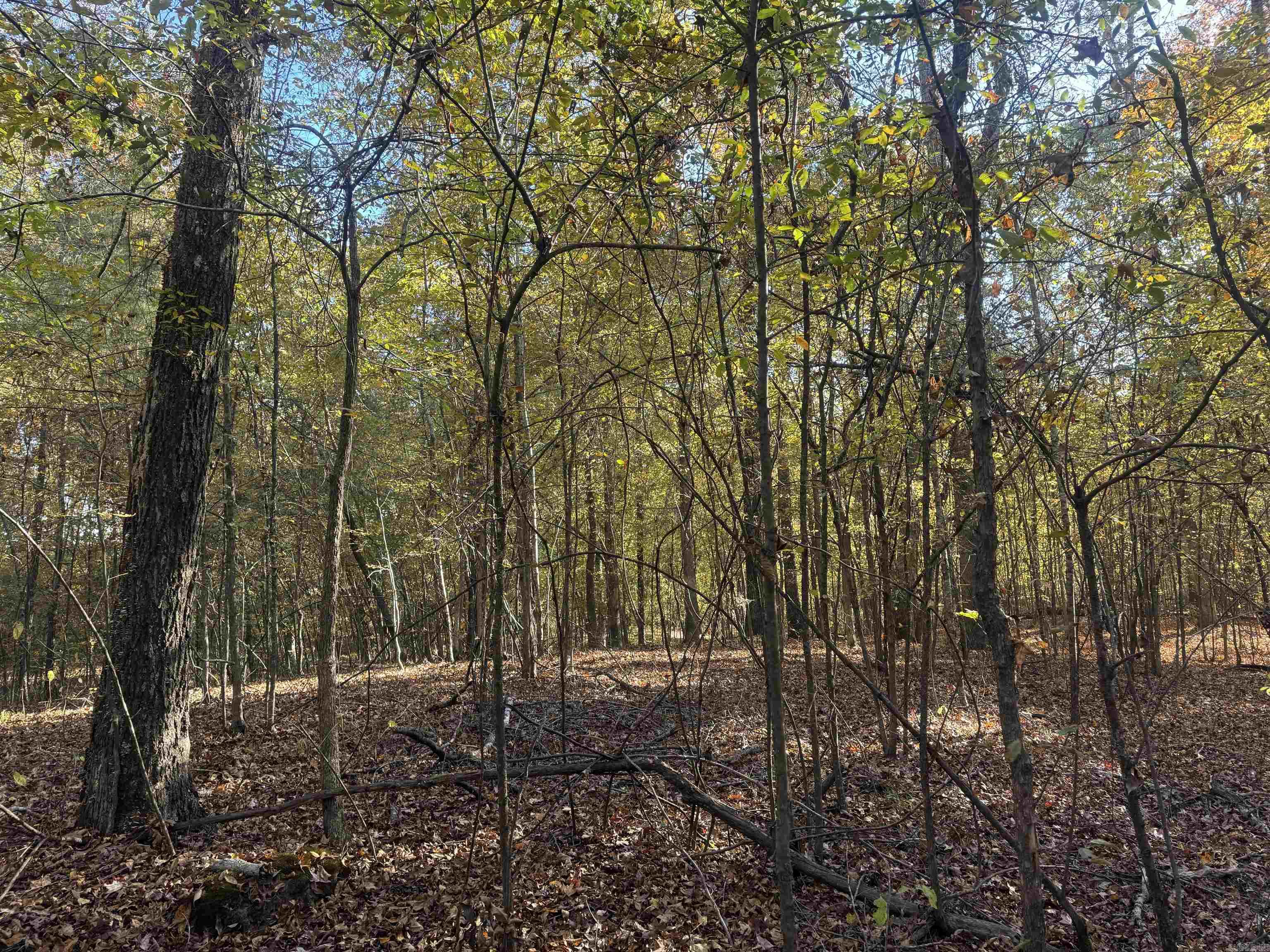 Not in Subdivision - Land