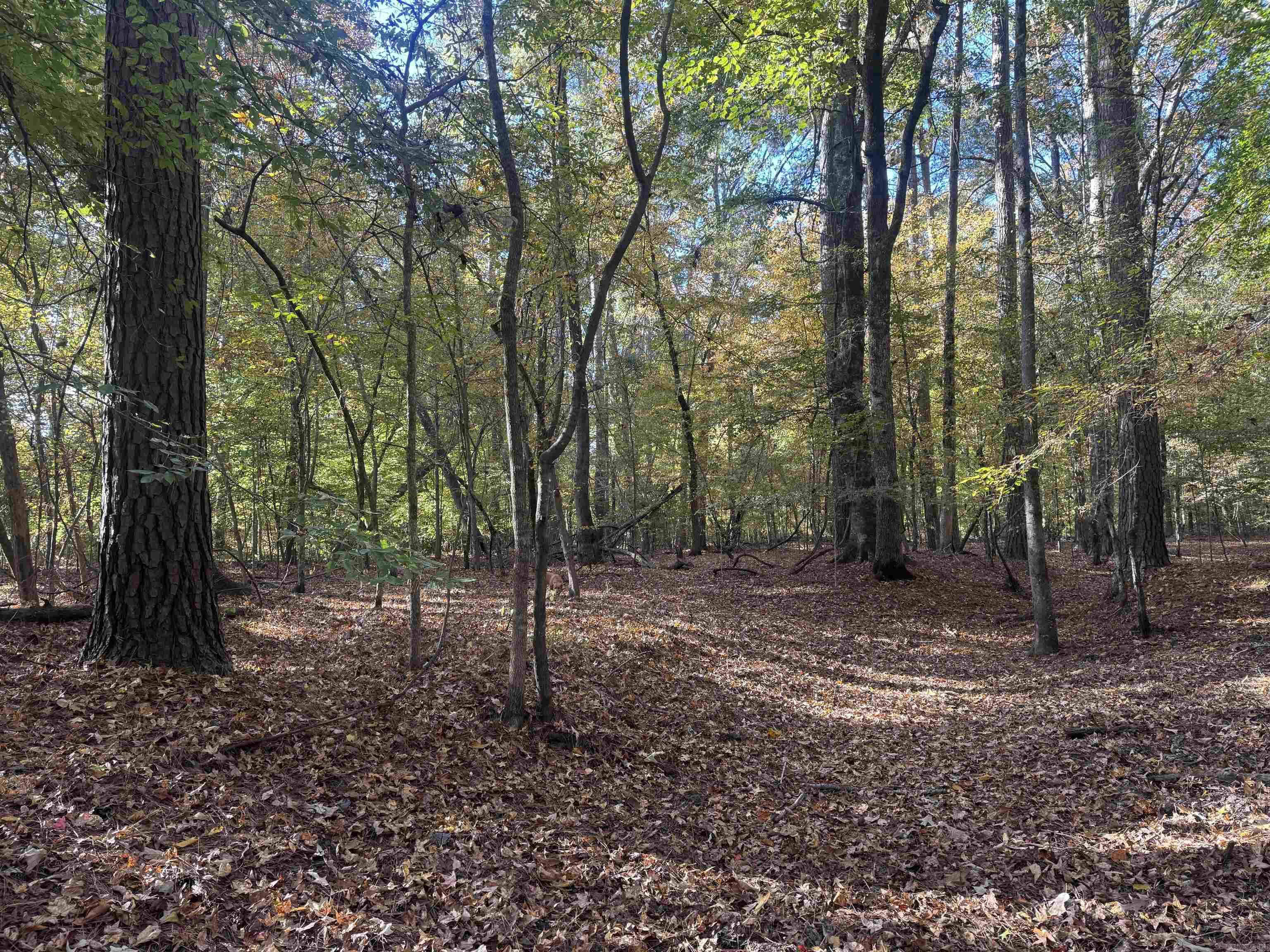 Not in Subdivision - Land