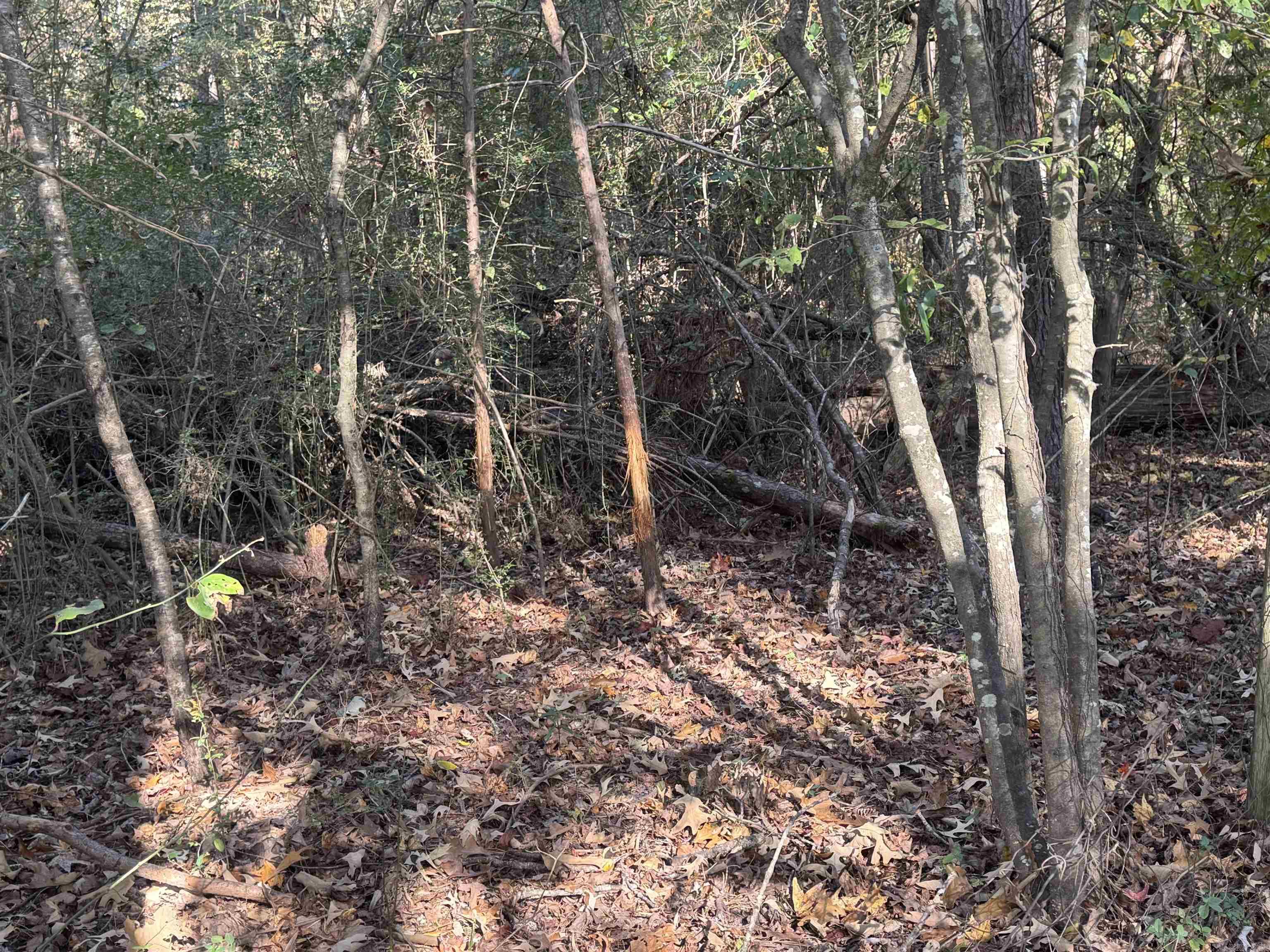 Not in Subdivision - Land