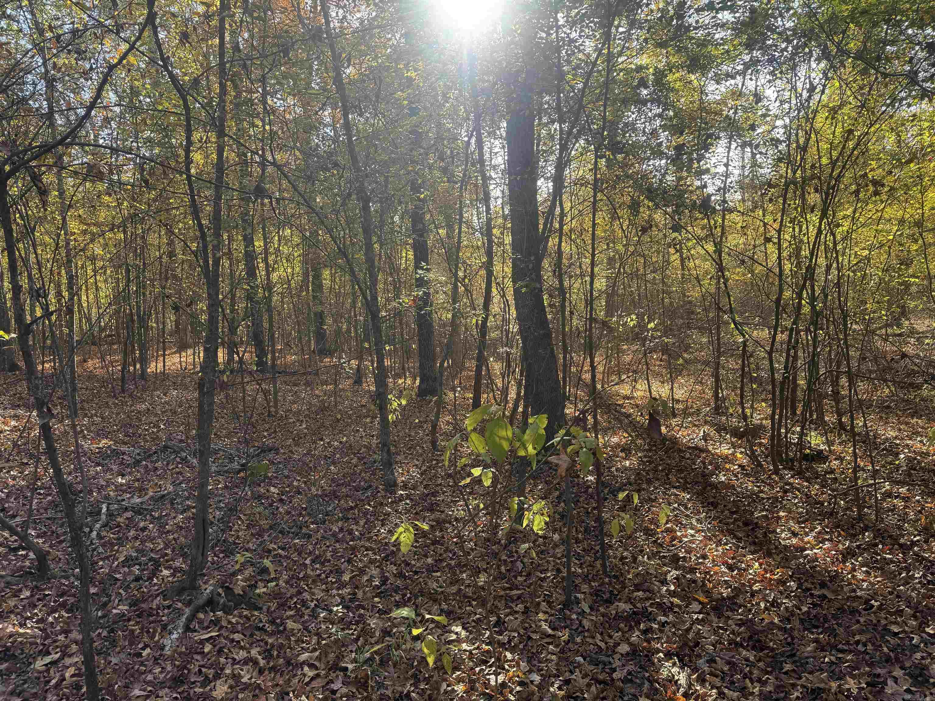 Not in Subdivision - Land