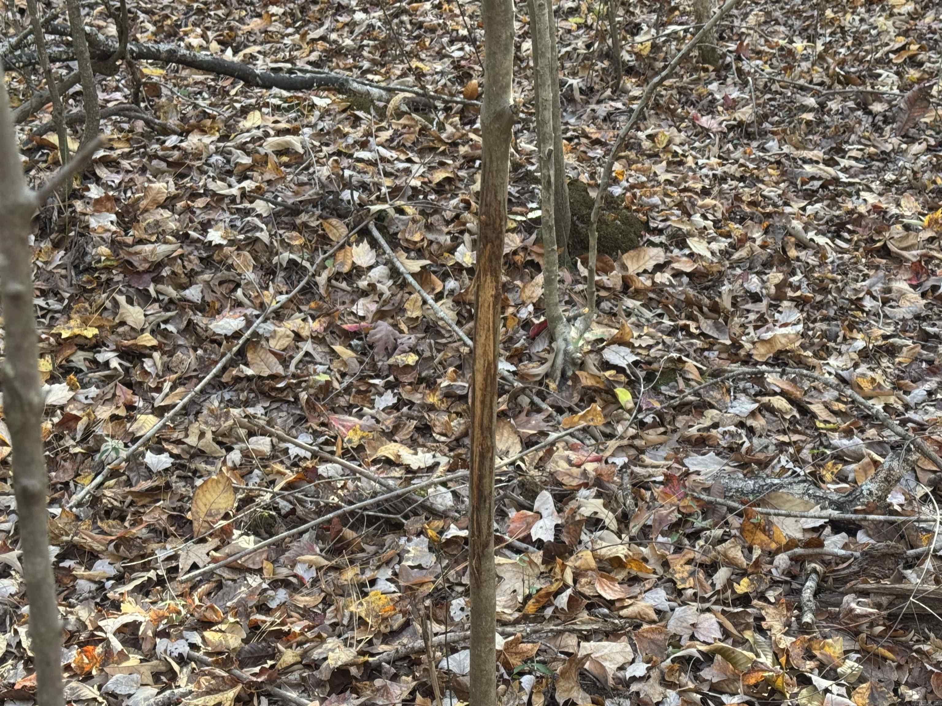 Not in Subdivision - Land