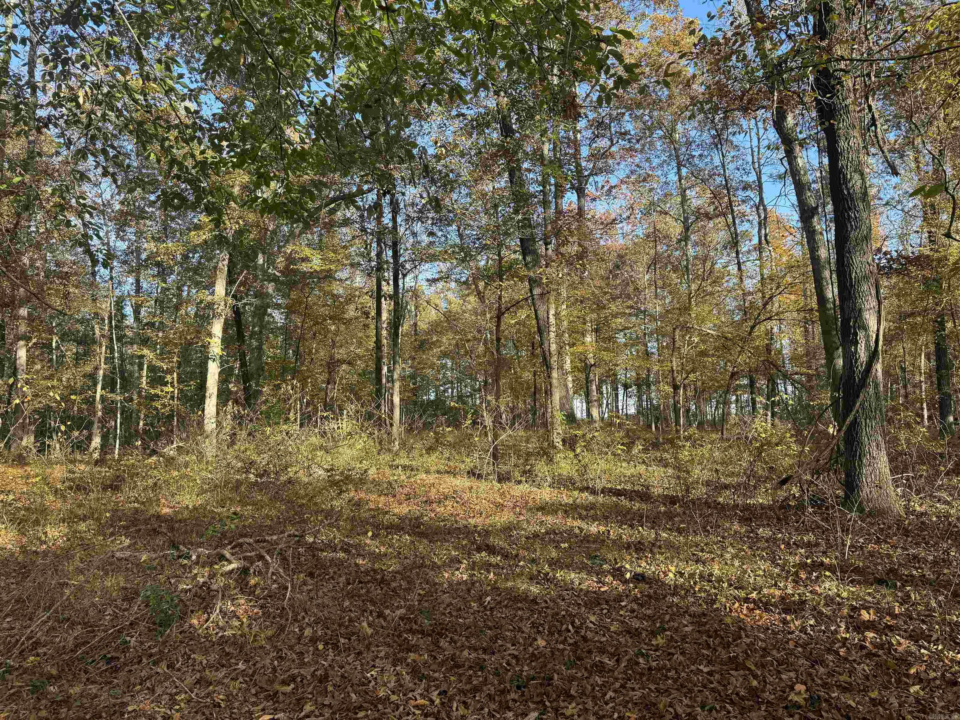 Not in Subdivision - Land