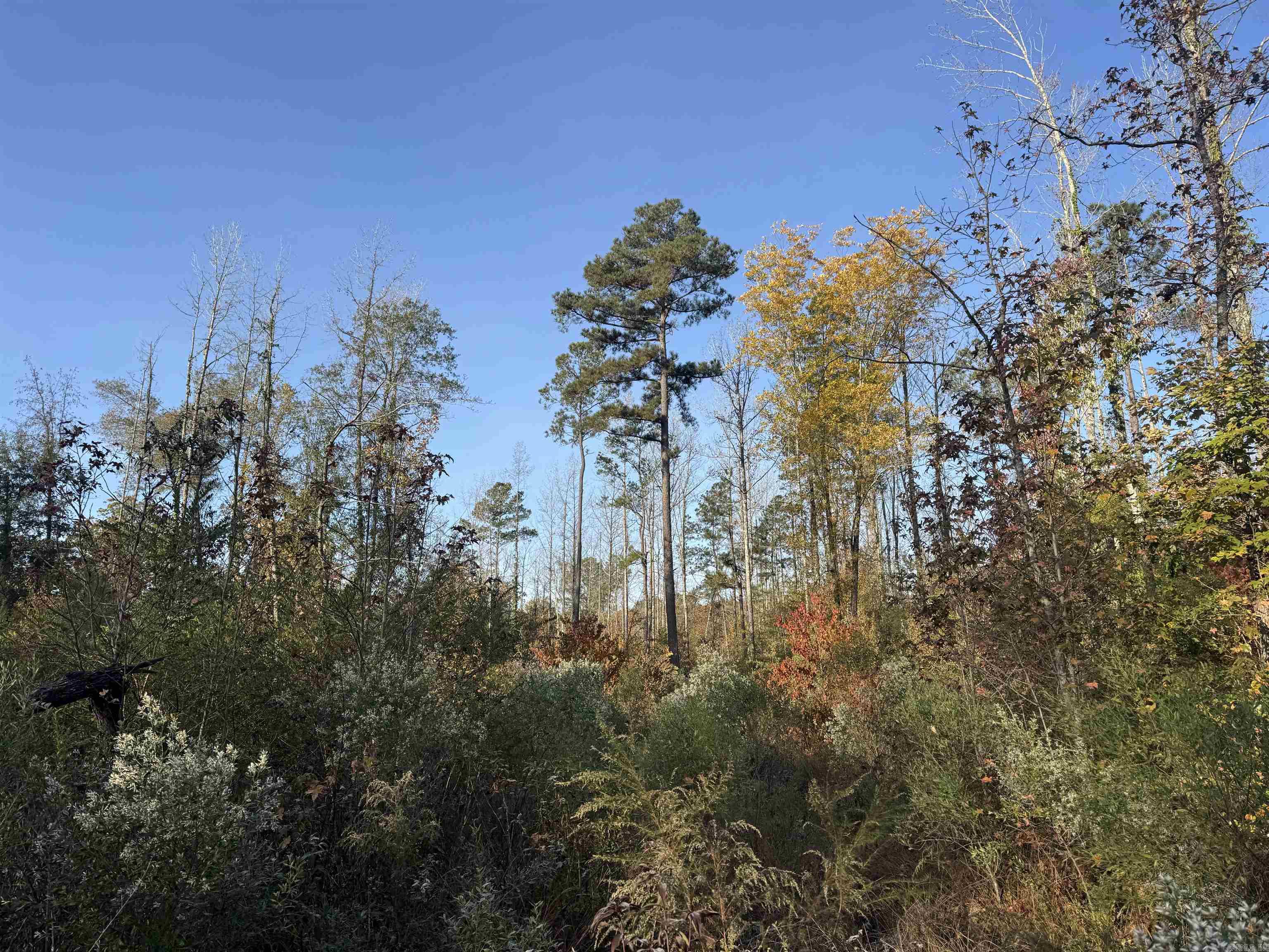 Not in Subdivision - Land