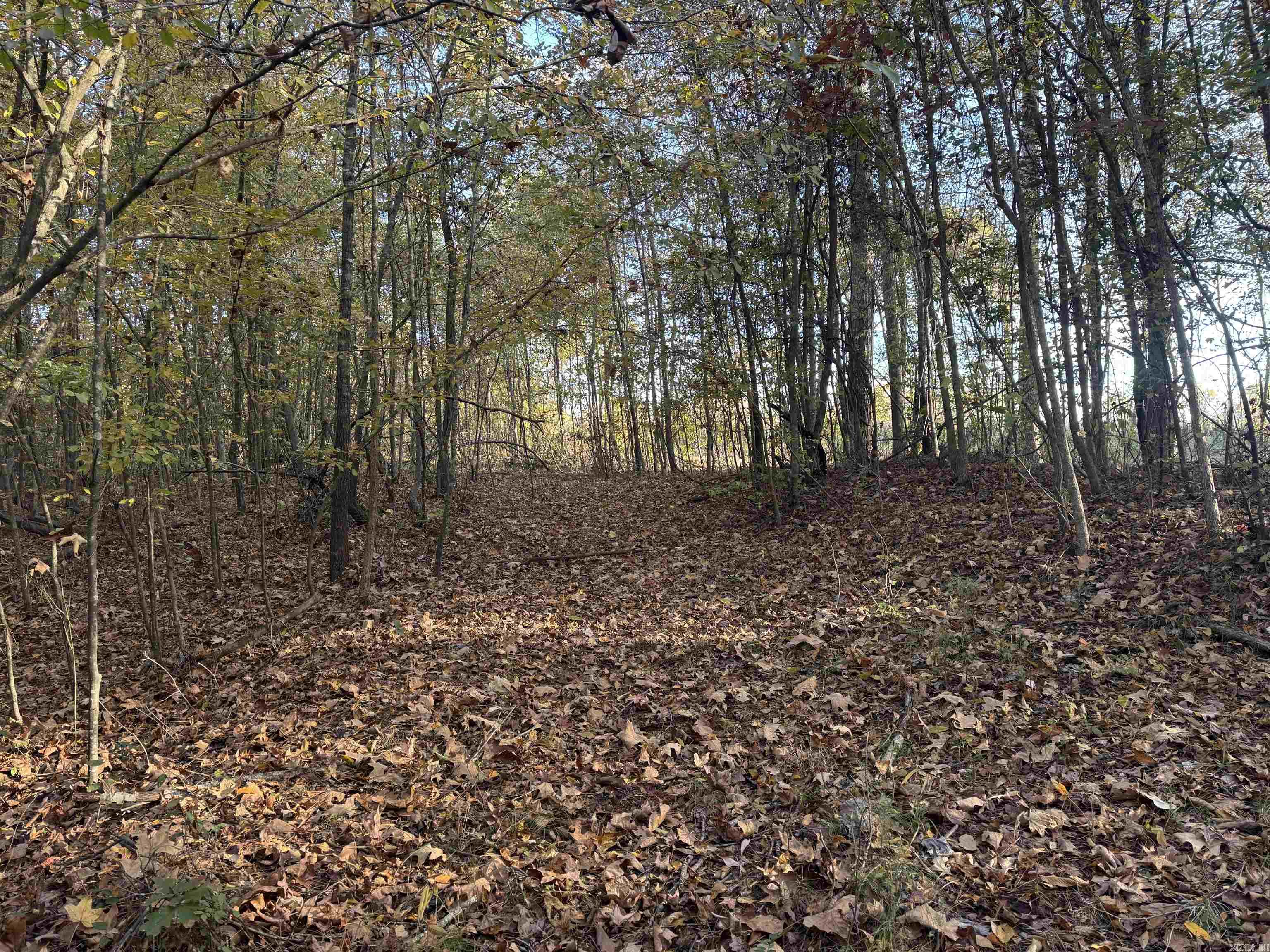 Not in Subdivision - Land