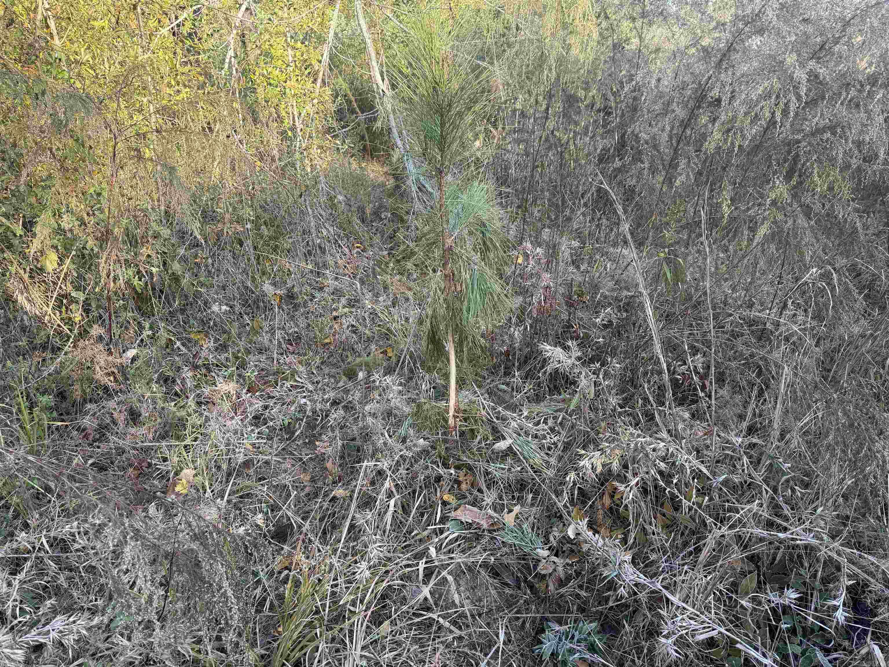 Not in Subdivision - Land