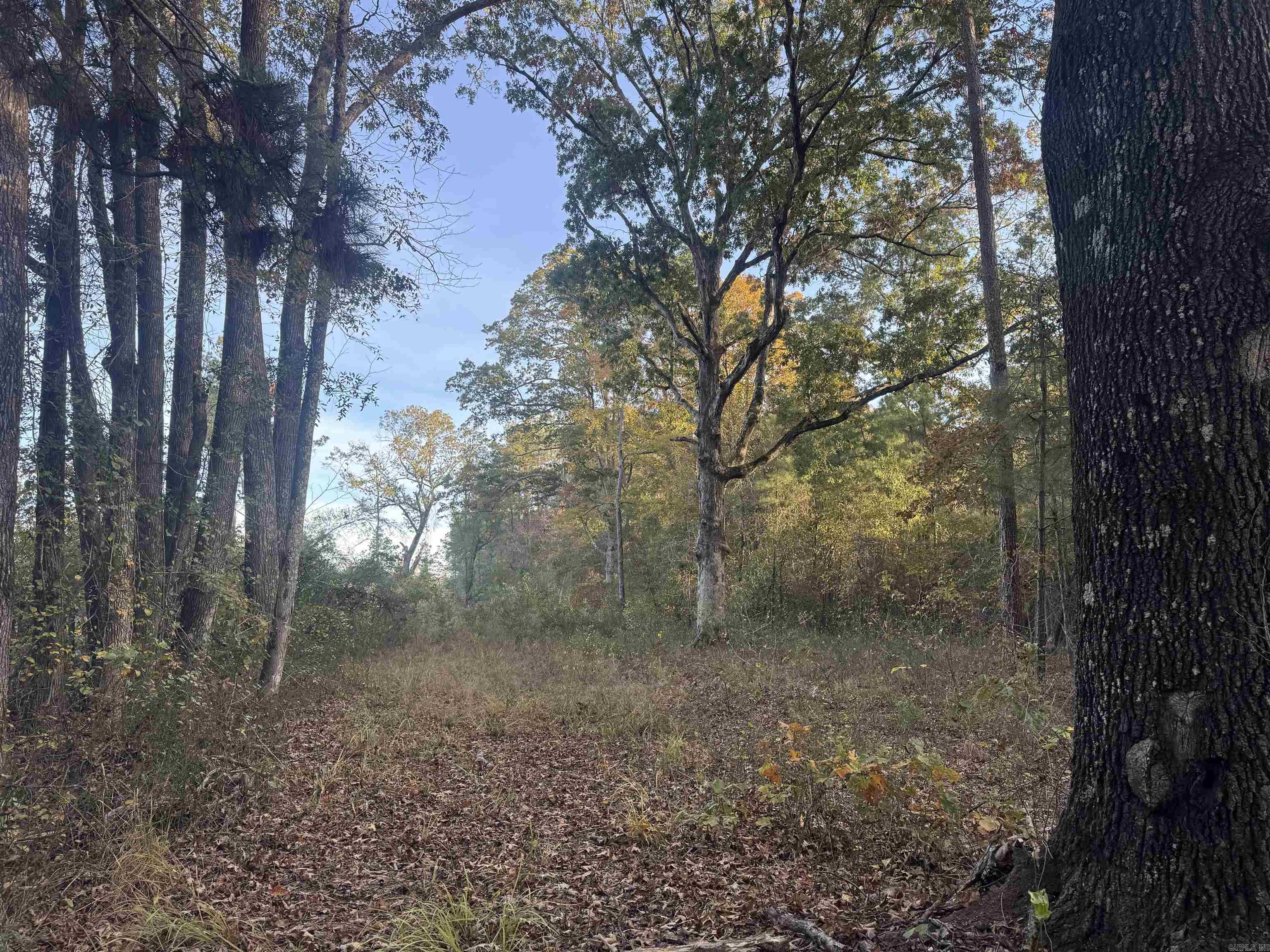 Not in Subdivision - Land